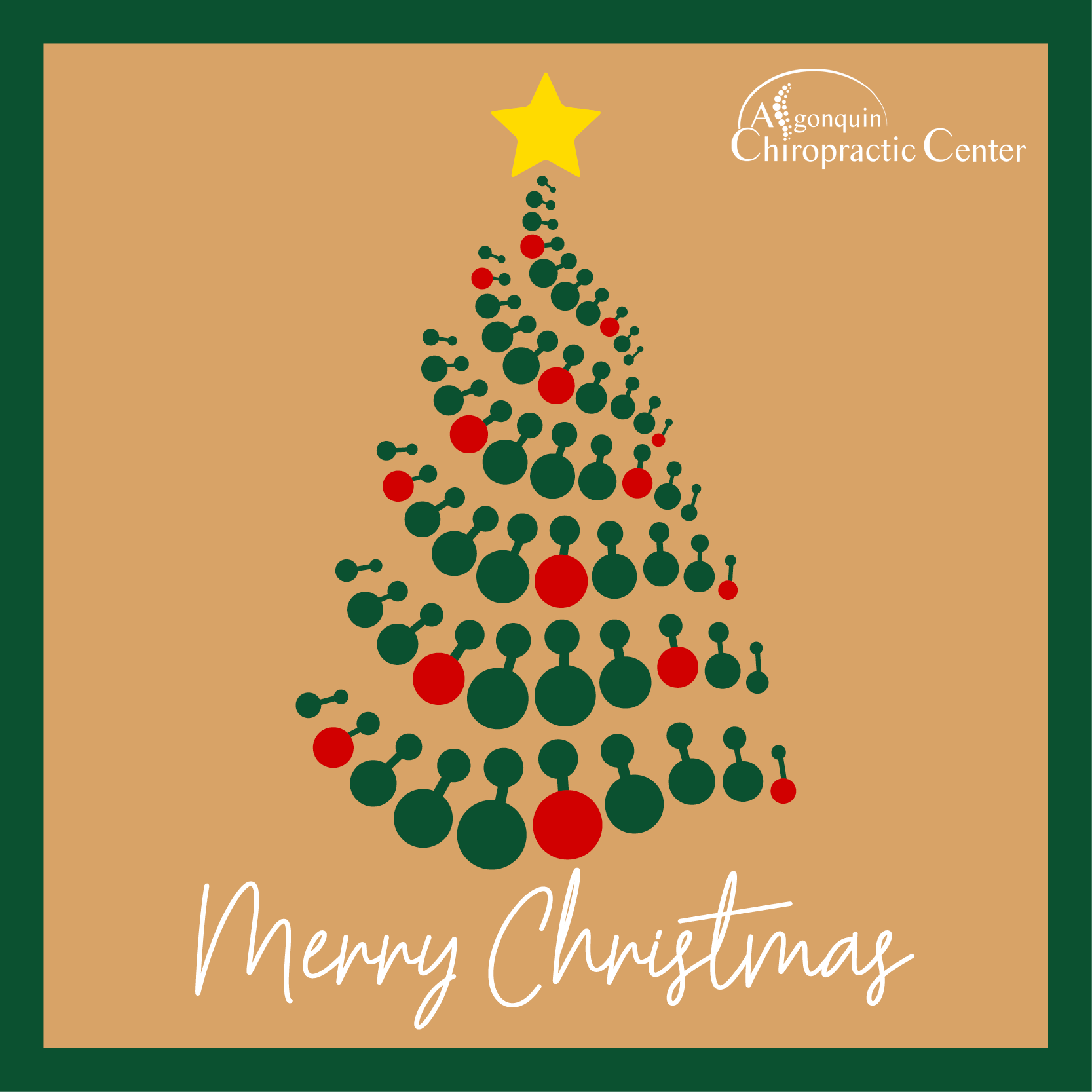 Algonquin Chiropractic Holiday Post