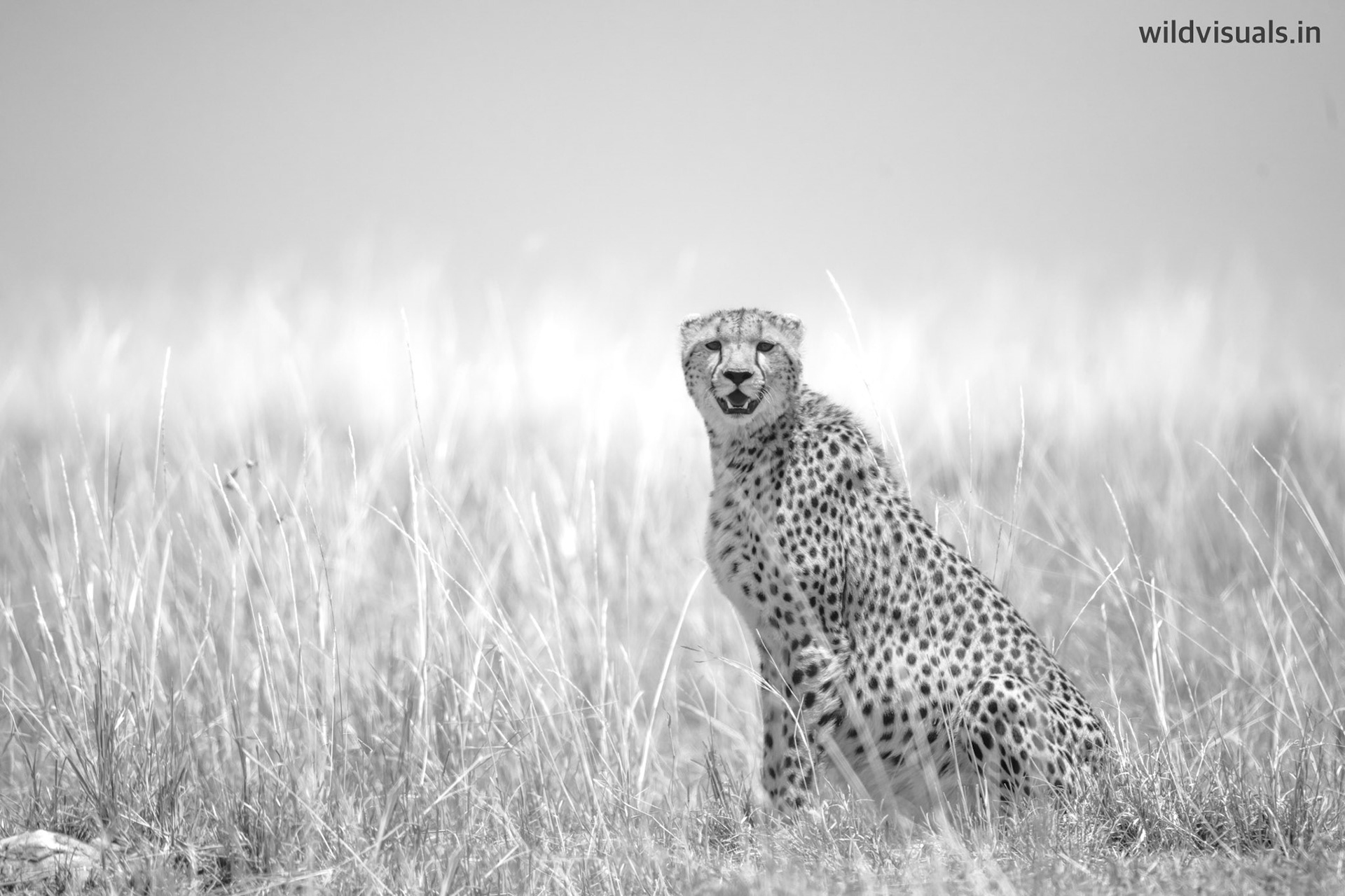 harsh is good | mara
