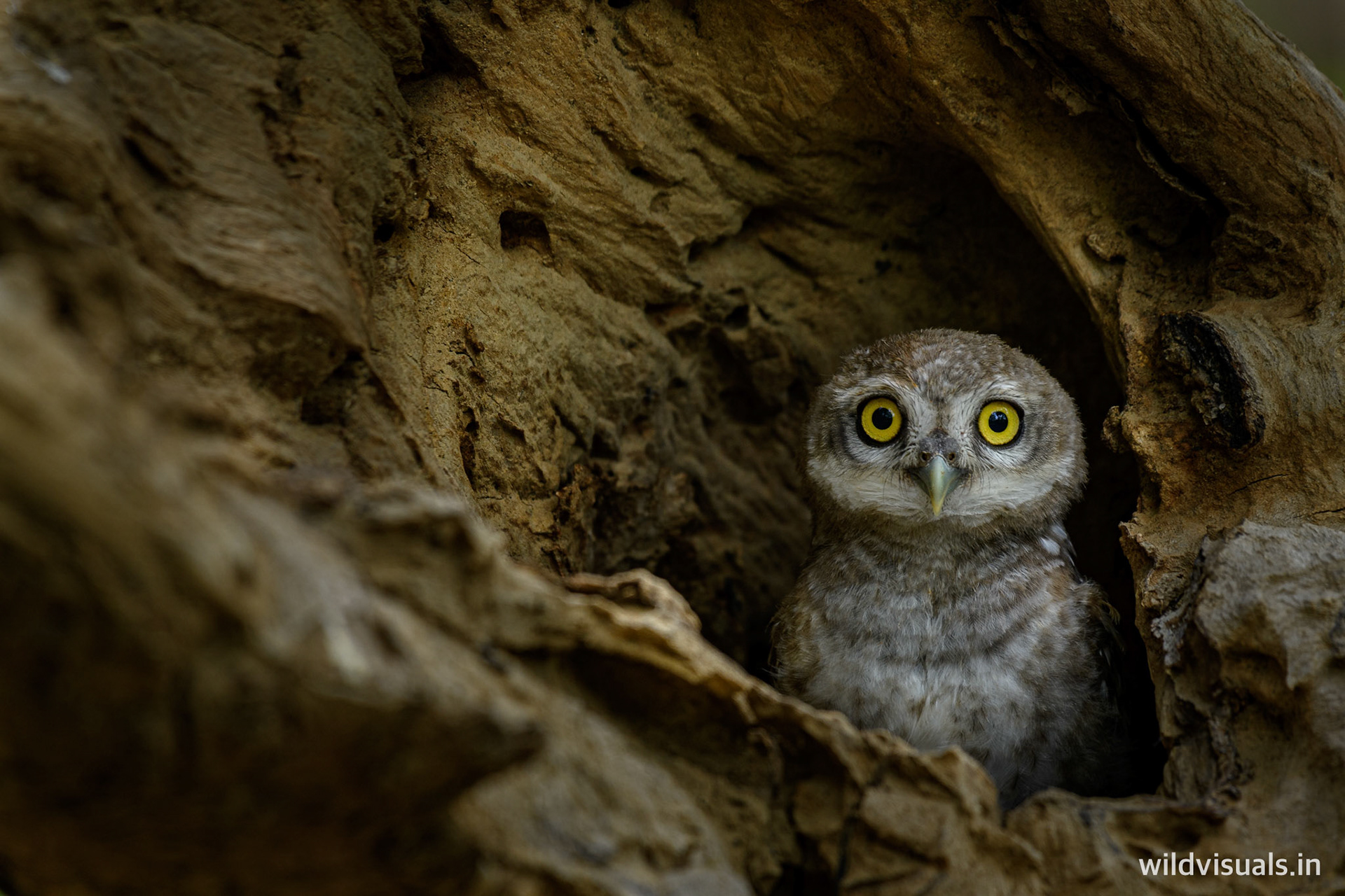 take time to get close | gurgaon