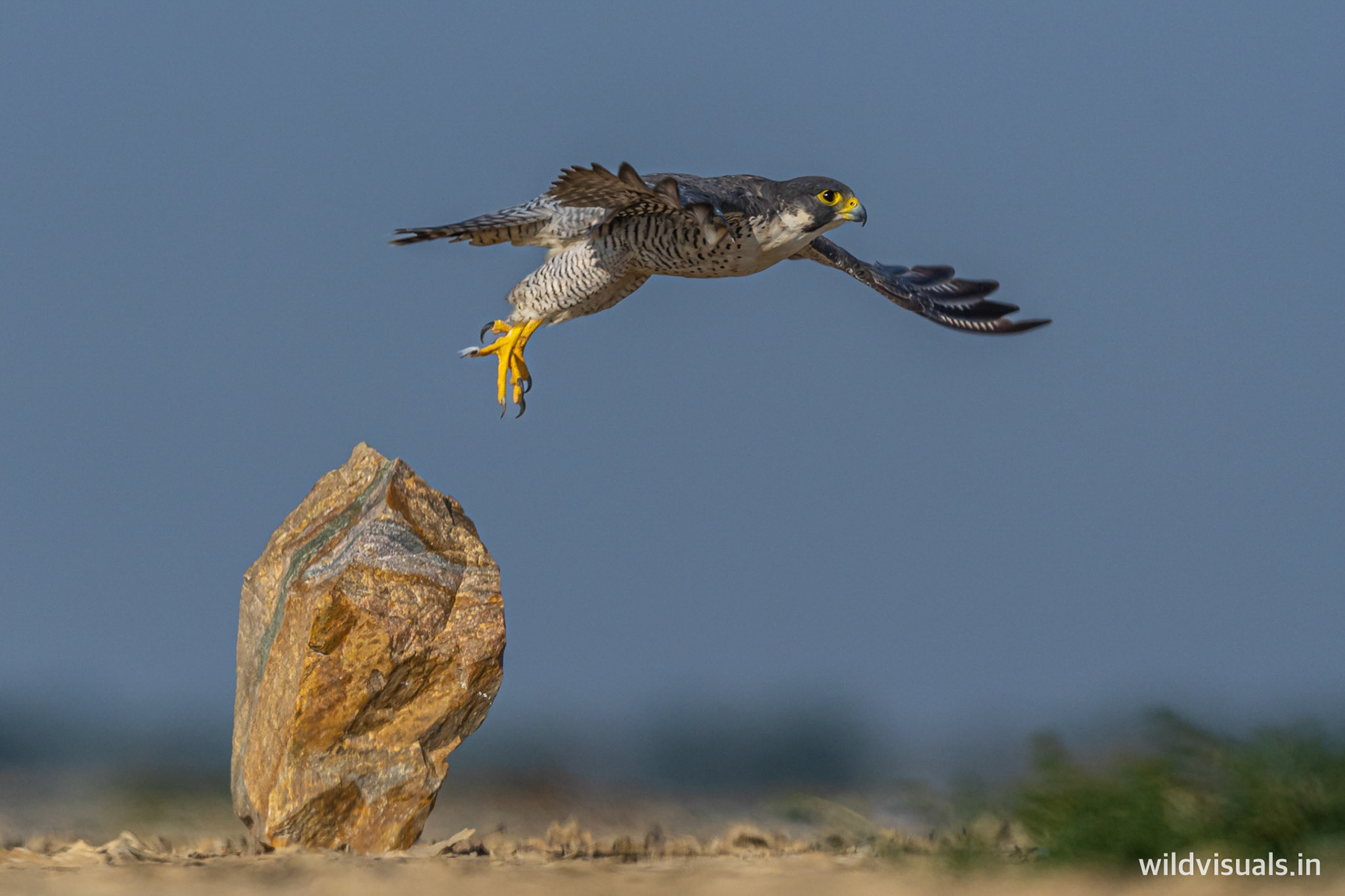taking-off | sambhar lake