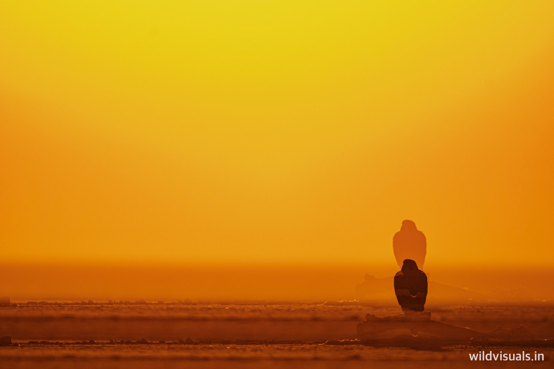 levitated soul | sambhar lake