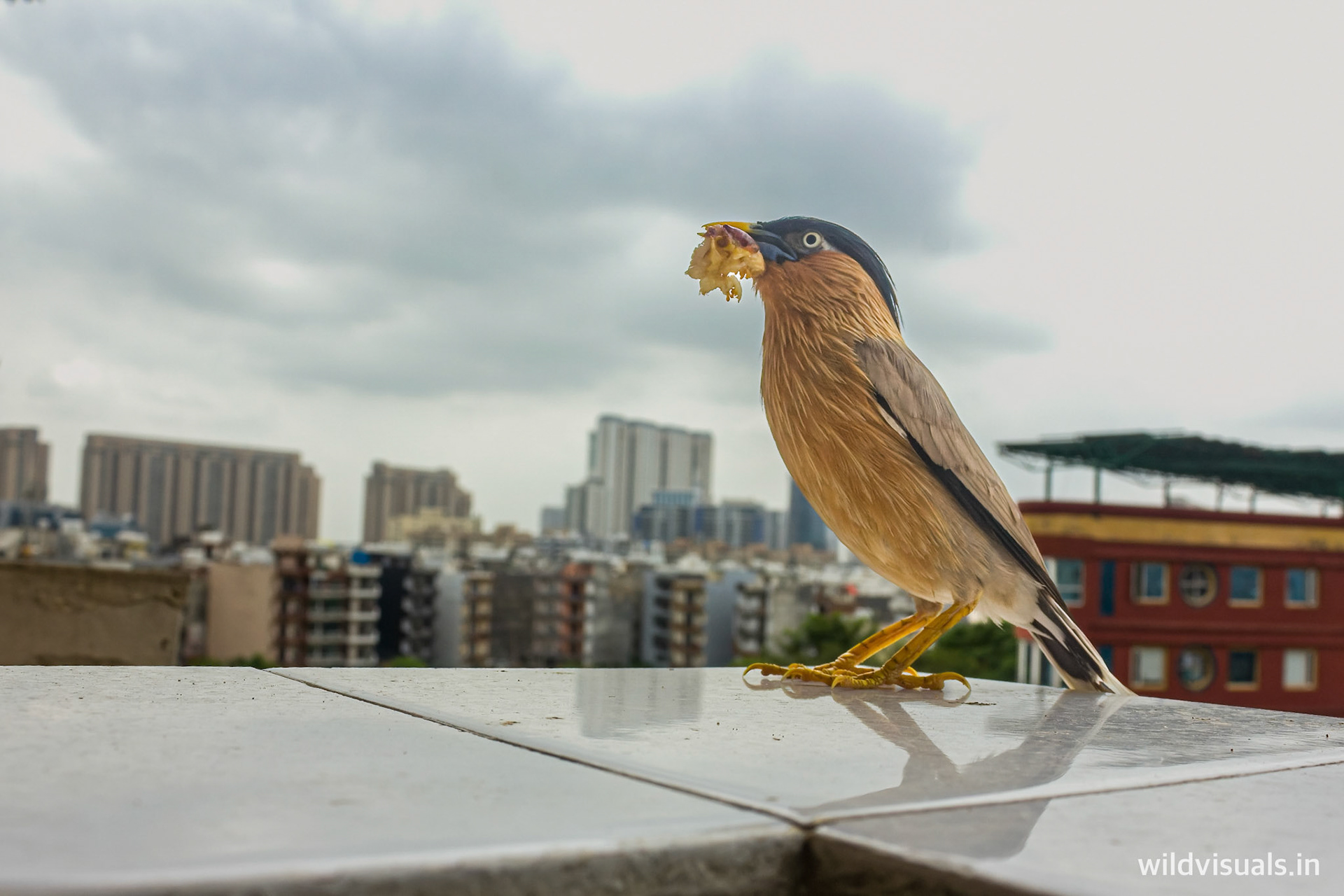 perspective | gurgaon