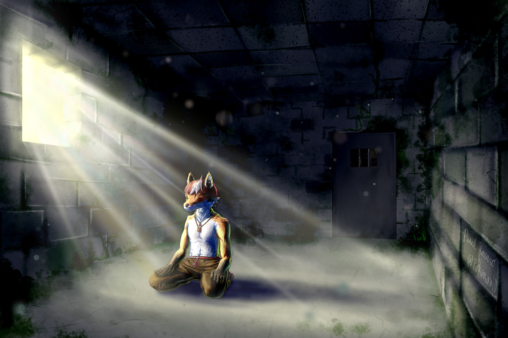 Meditation