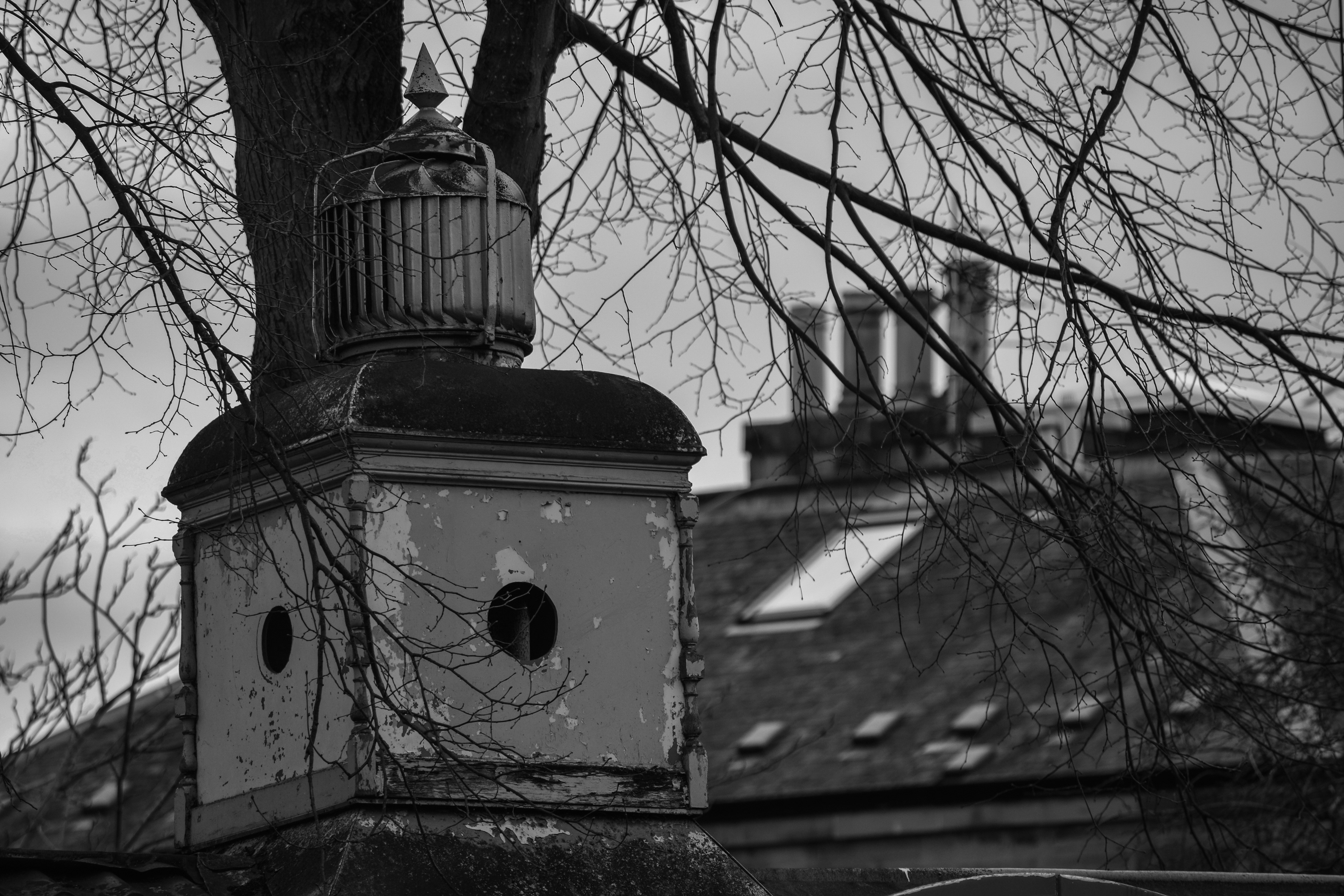The Old Boathouse | Edinburgh