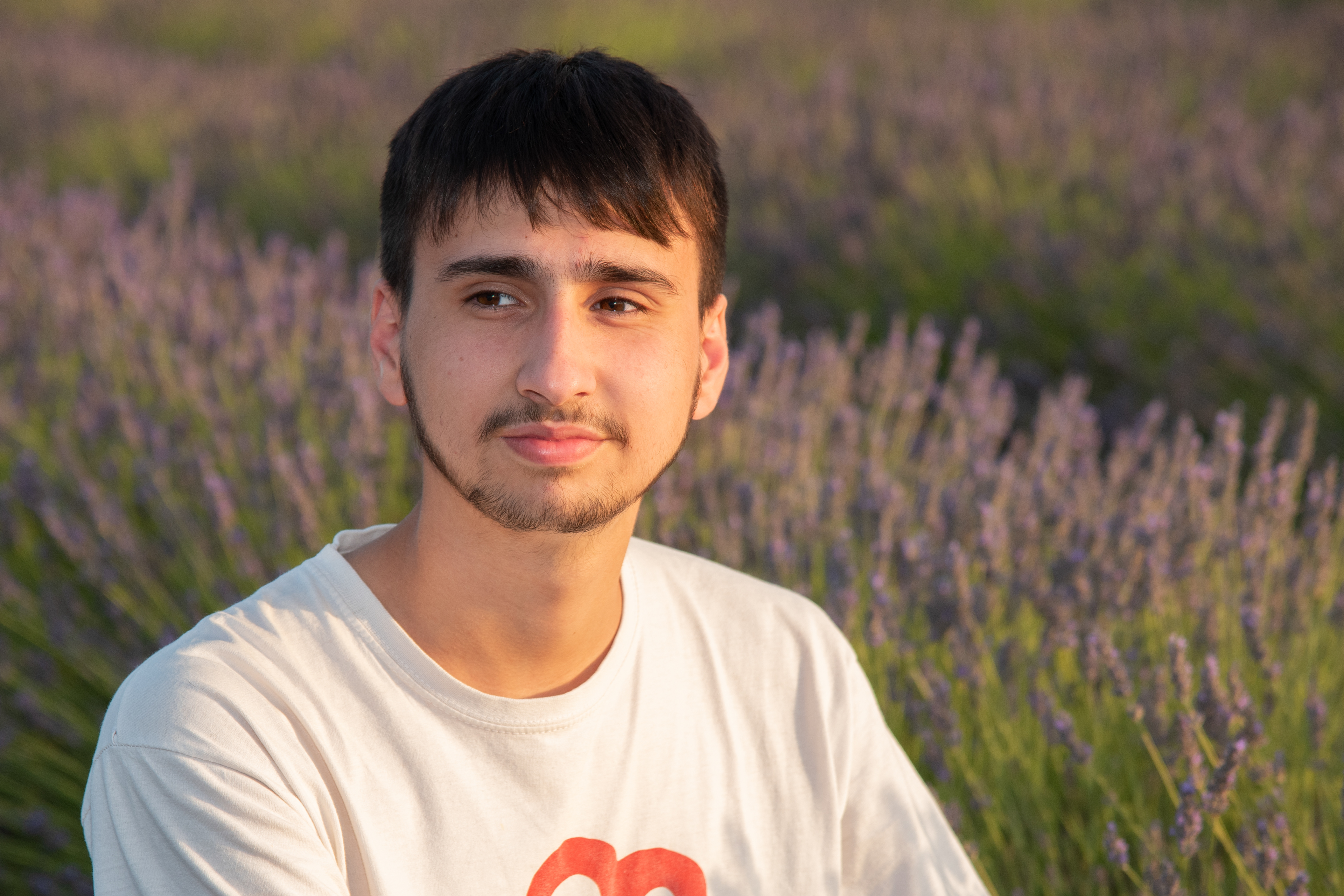 Lavender Dusk Contemplation