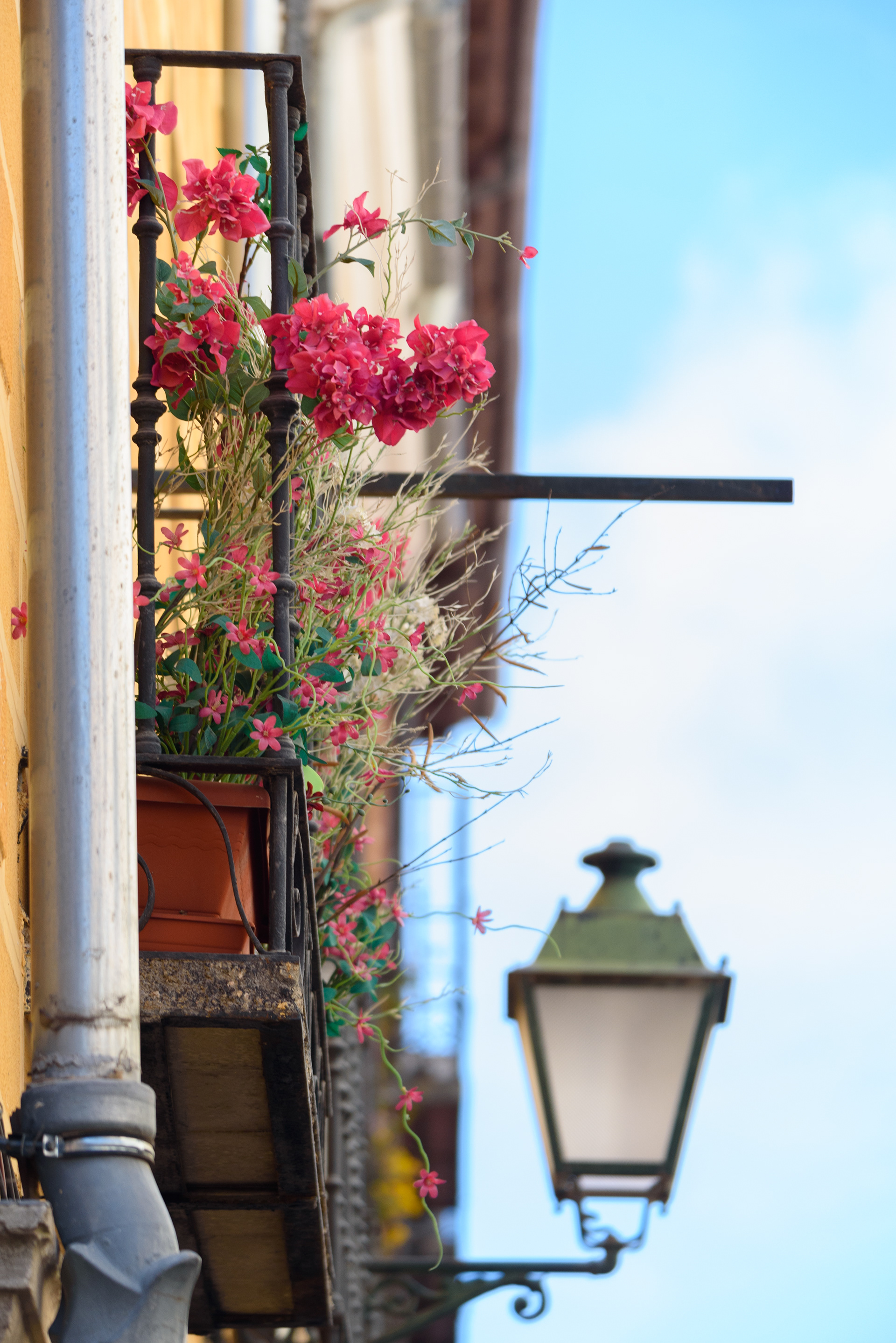 Calle Mayor Balcony with Flowers