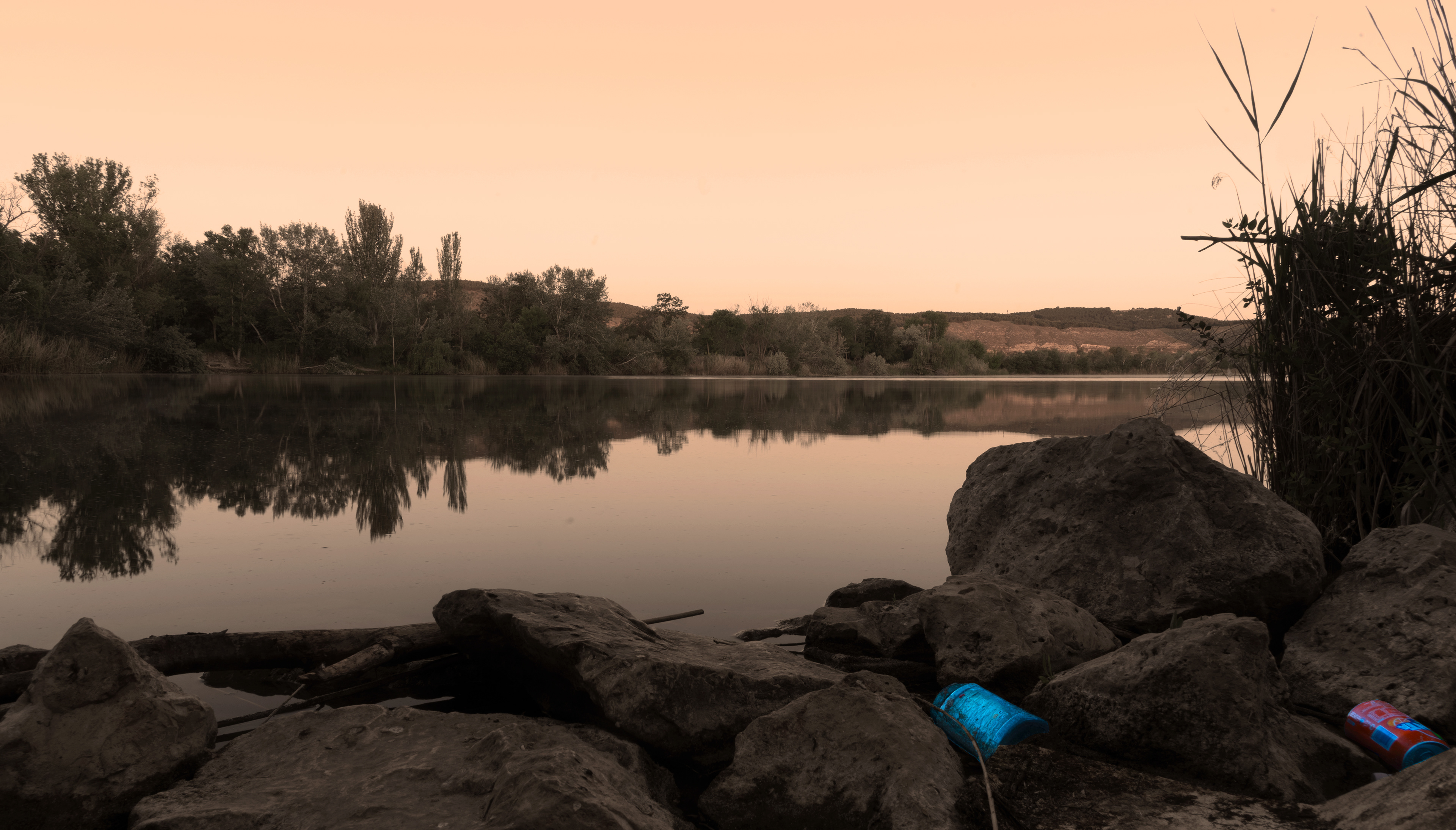 Laguna Velilla Litter