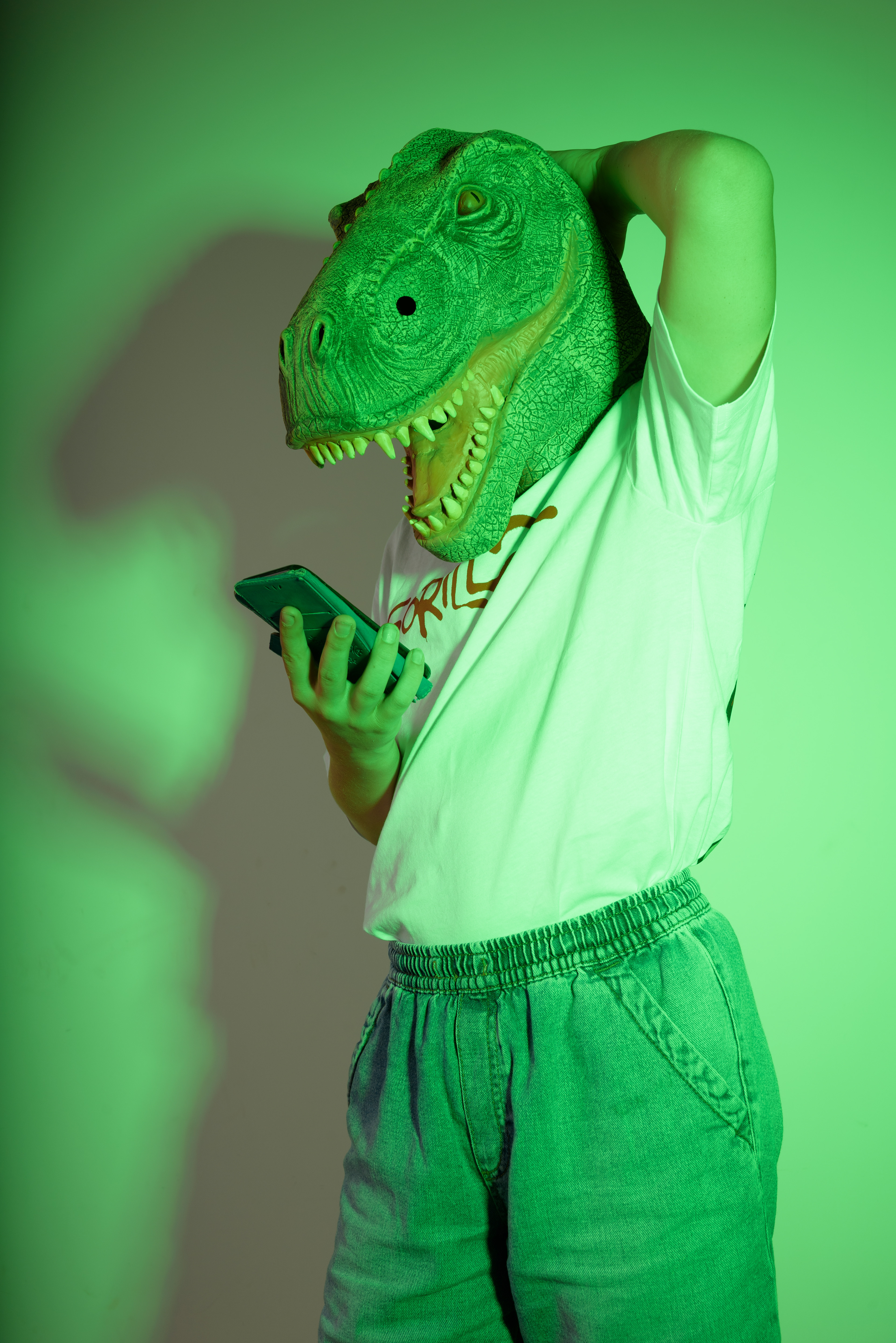 6S-full Dinosaur