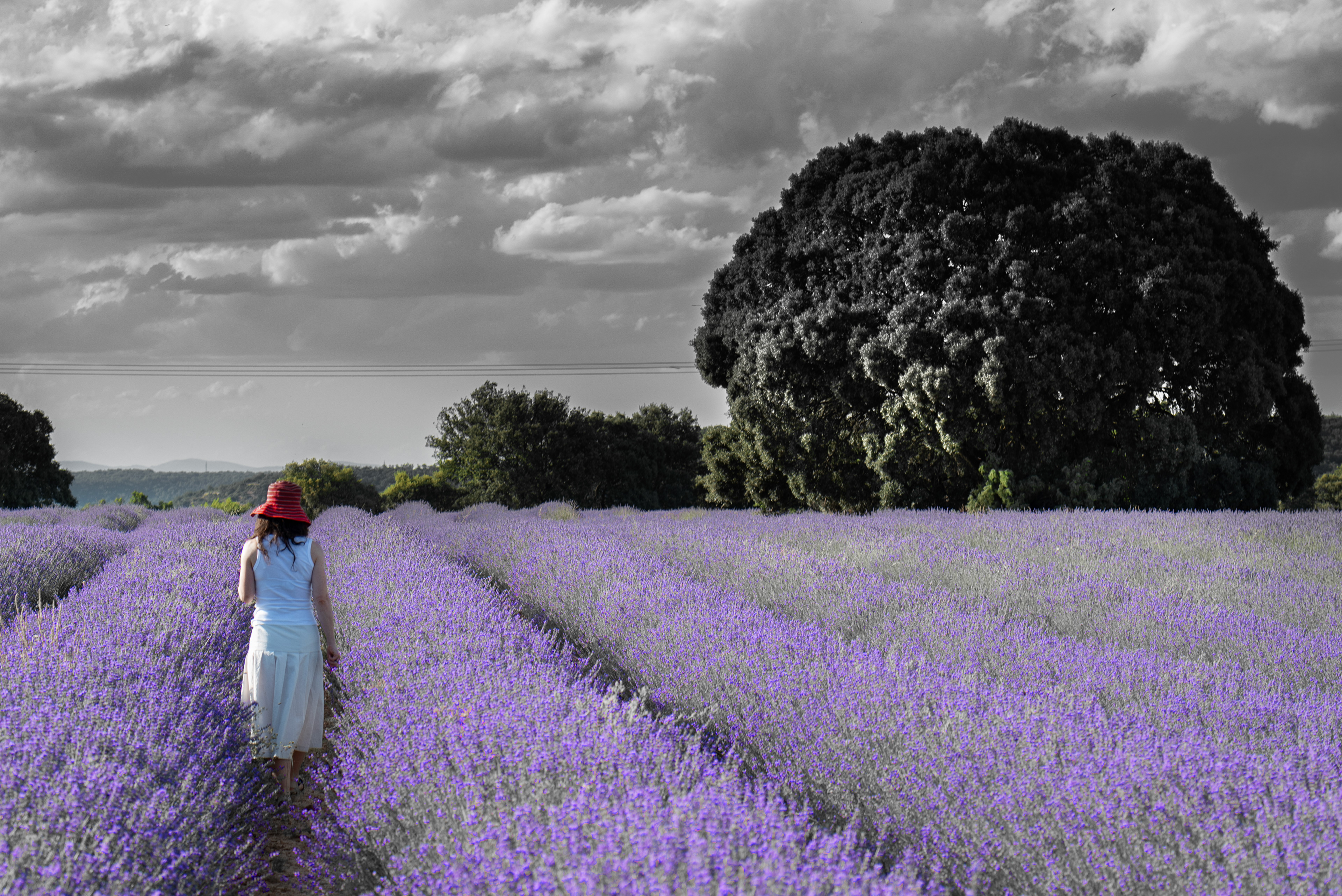 There may be trouble ahead...