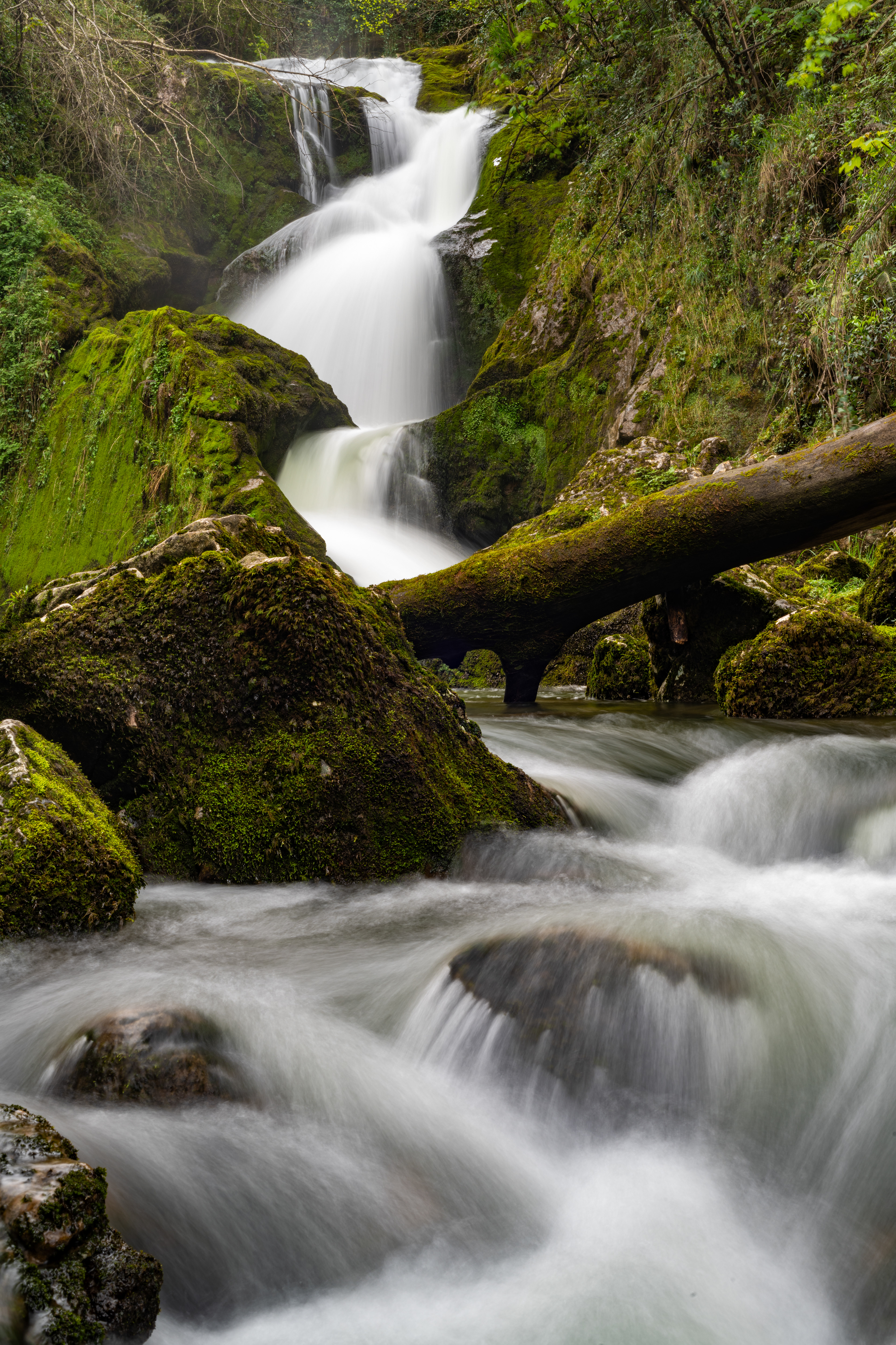 Río Reinazo, Covadonga, Asturias