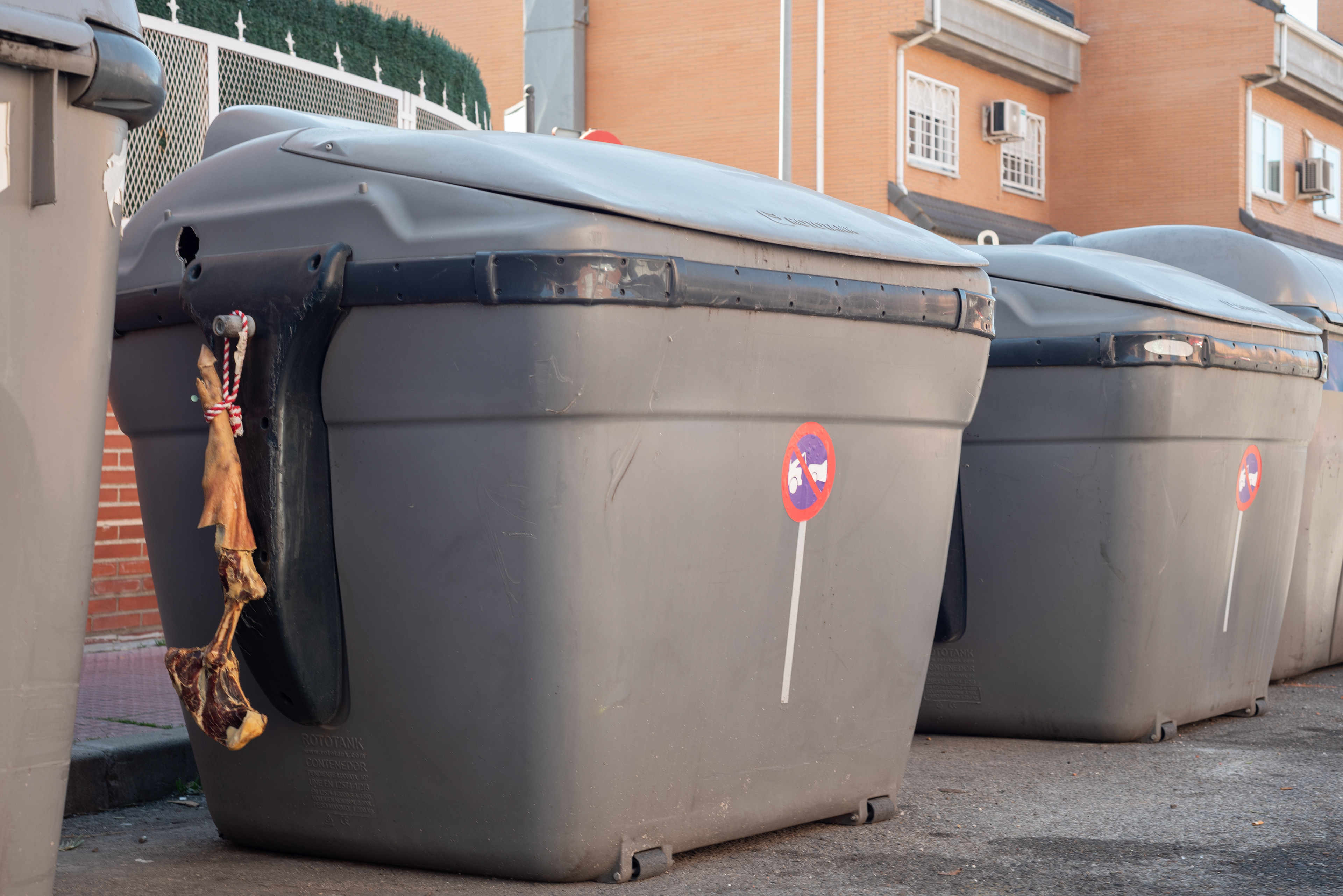 Jamón - left our for someone's dog?