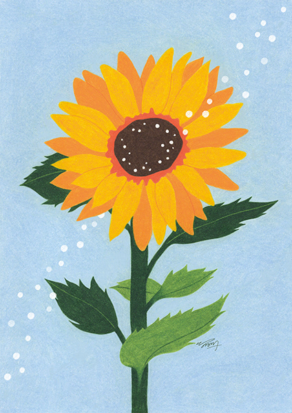 sunflower