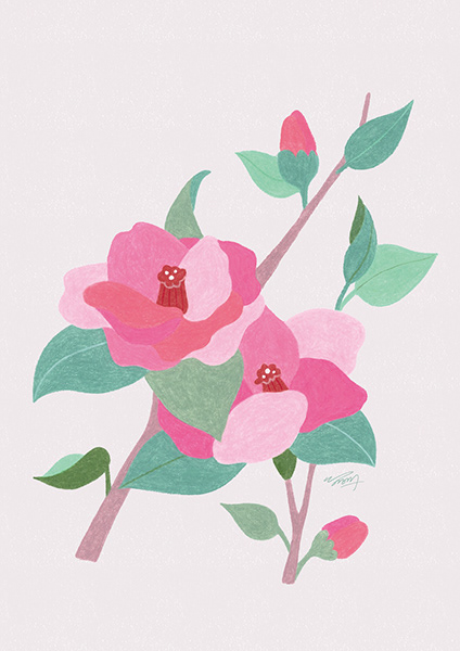 camelia