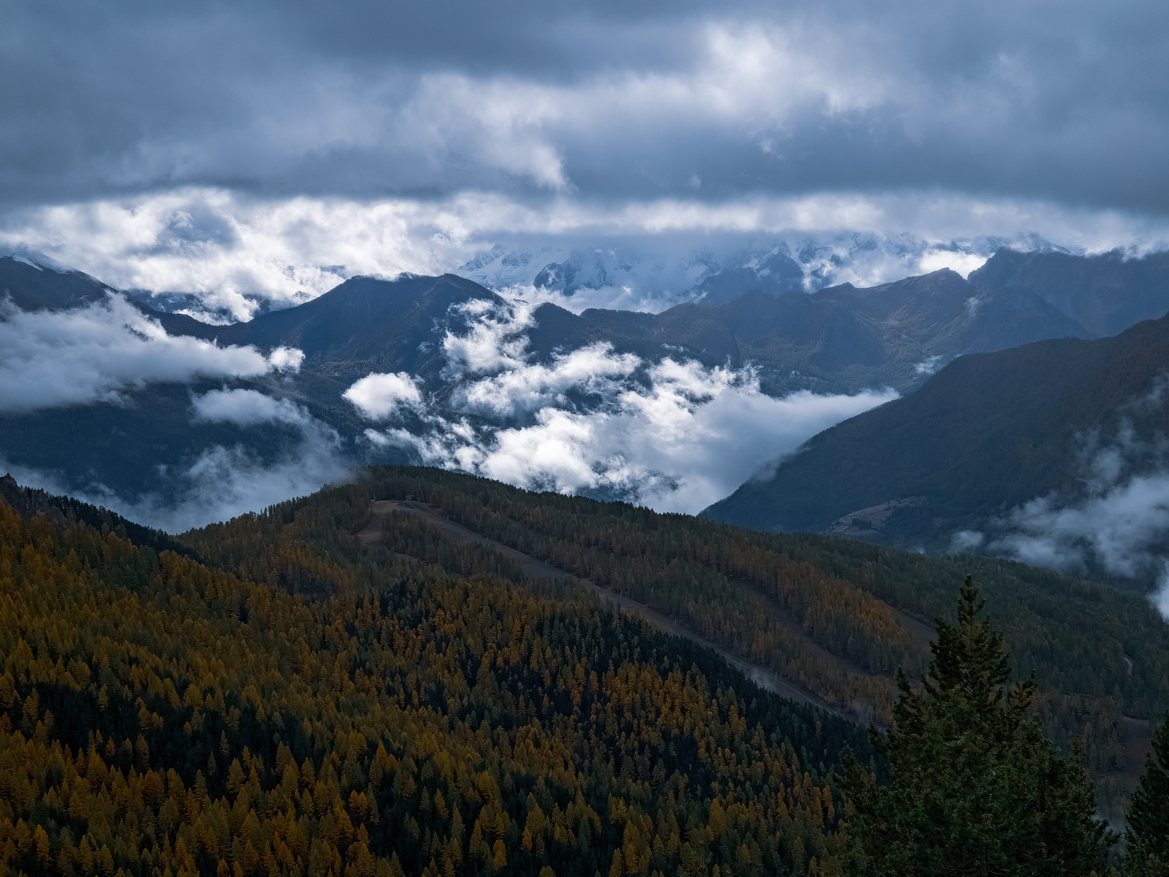 ‘Atmospherics’: A wide-angle view from the Alpine Moods series showing layered mountain ridges and misty valleys under a dramatic sky, with a foreground of dense golden larch forests.