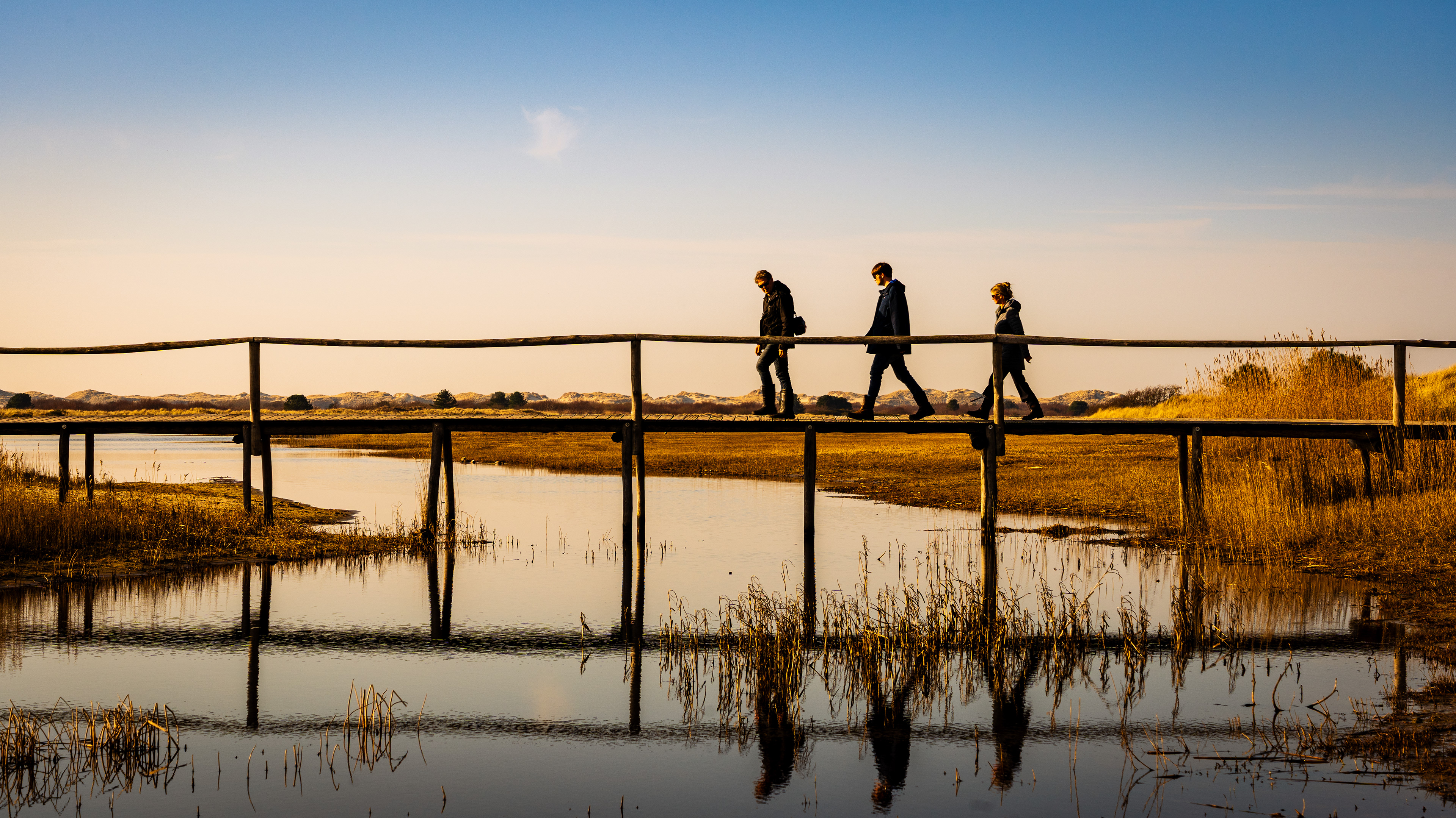 ‘Bridging Nature’: Three silhouetted figures walk across a long, rustic wooden footbridge over a calm wetland at sunset. Their reflections shimmer in the still water below, with the soft, rolling dunes of Terschelling visible in the warm, golden background.