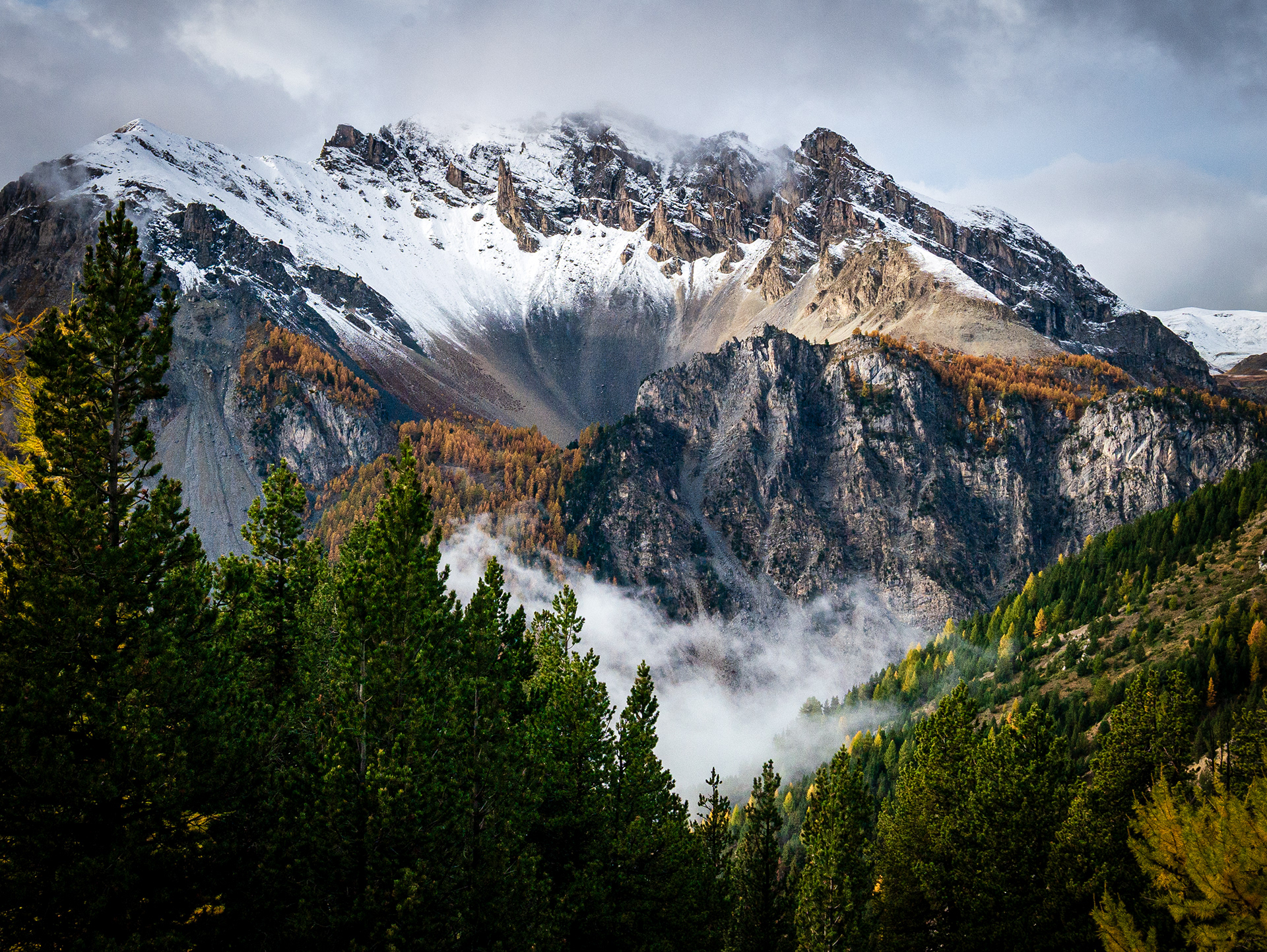 The Sentinel’: A majestic view of snow-capped mountains and a misty valley filled with larch trees in their yellow autumn colors, framed by dark green pines.