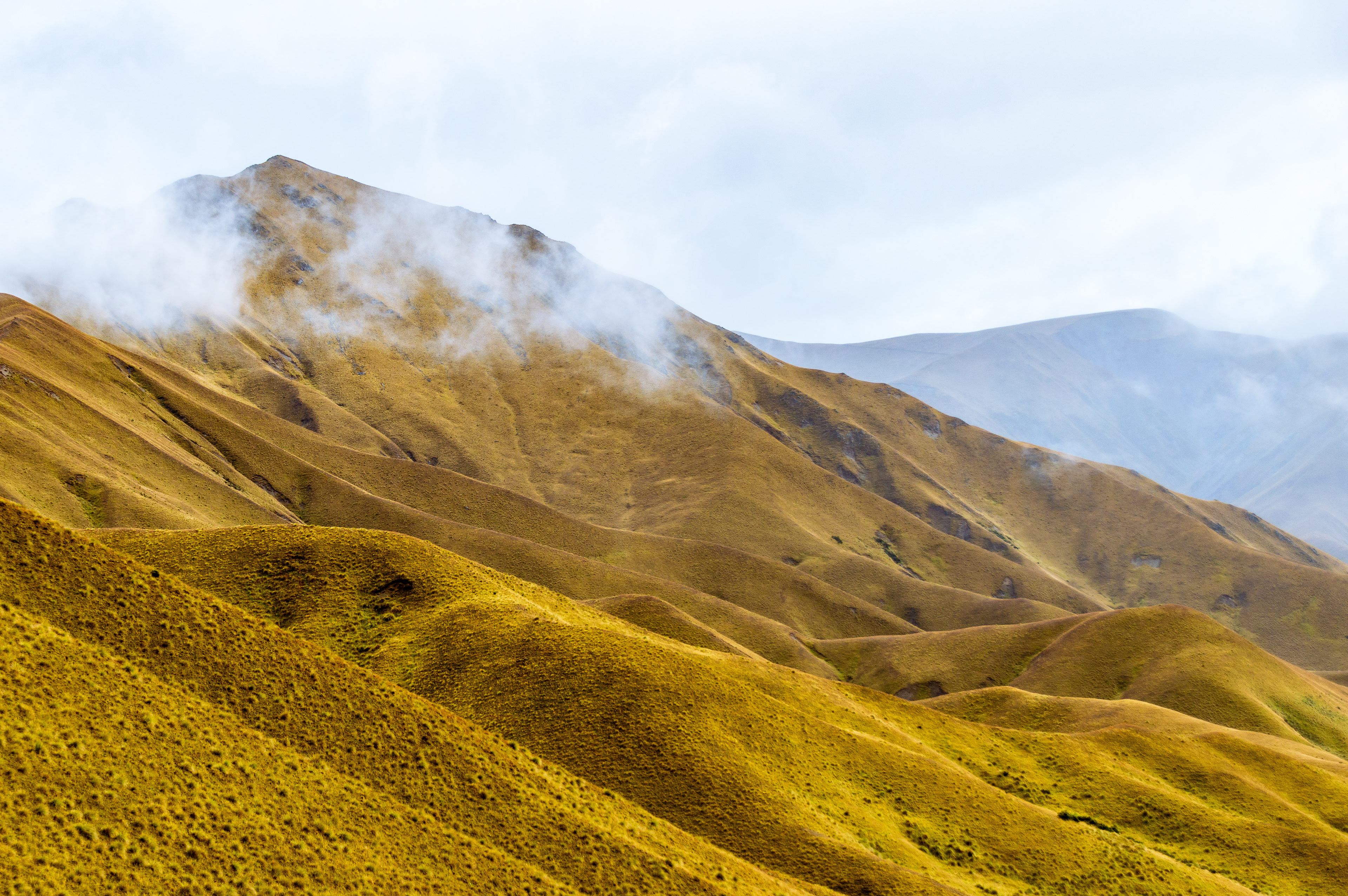 Lindis Pass Peaks’: From the New Zealand series, a close-up study of rolling alpine ridges covered in vibrant yellow-gold grass, with wisps of white clouds clinging to the highest summit.