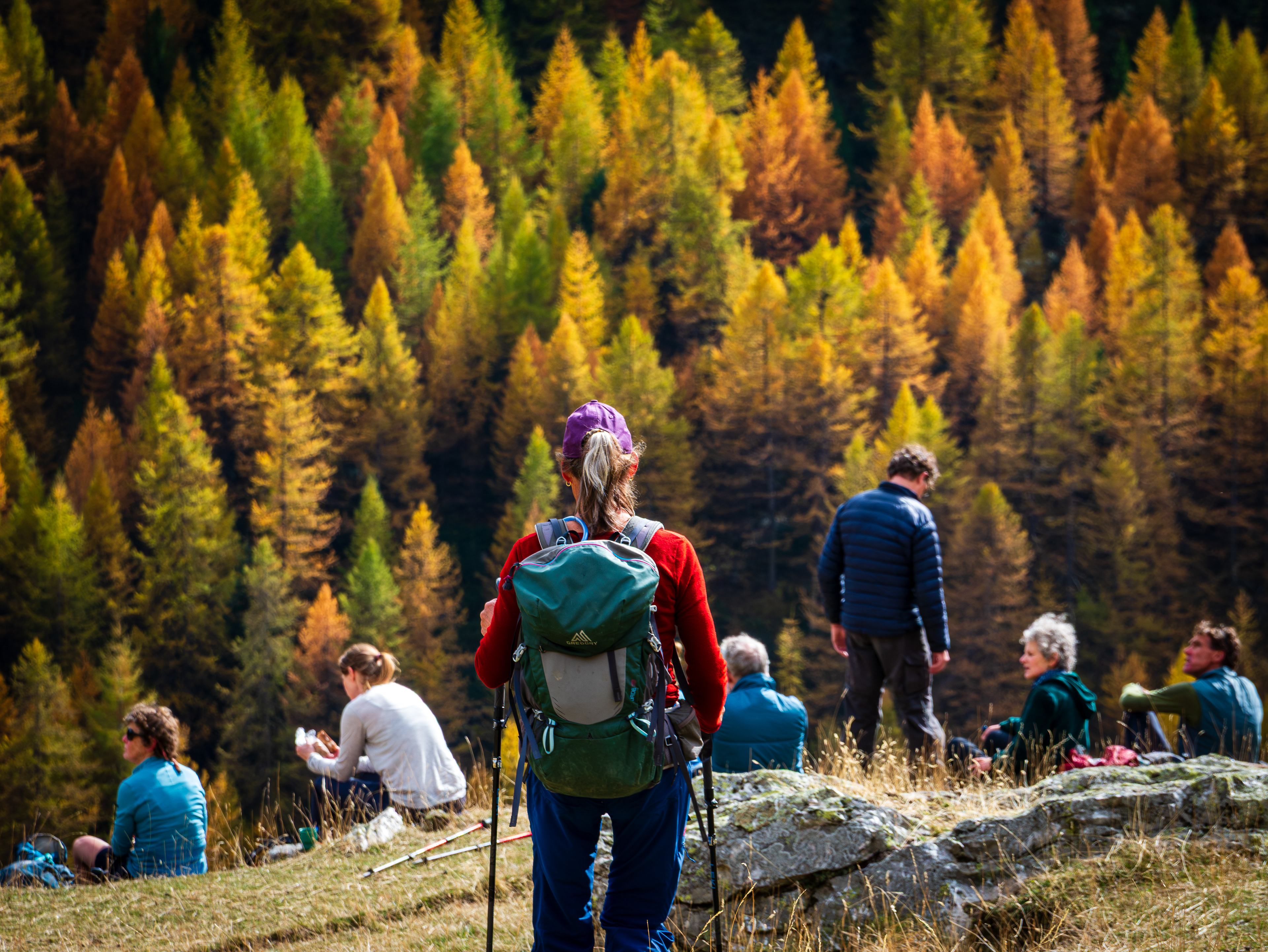 Autumn Rest’: From the Alpine Moods series, a group of hikers taking a break on a grassy ridge, framed against a brilliant background of vibrant golden-orange larch trees.