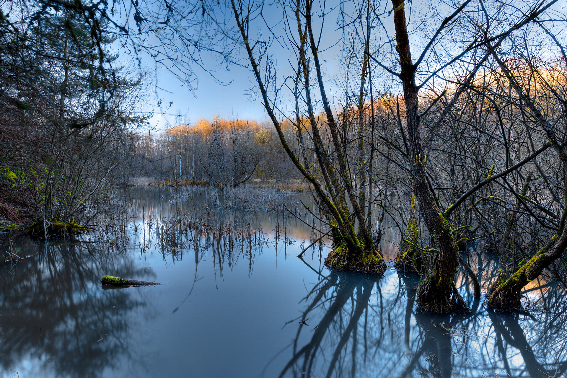 Asbergsee im Siebengebirge