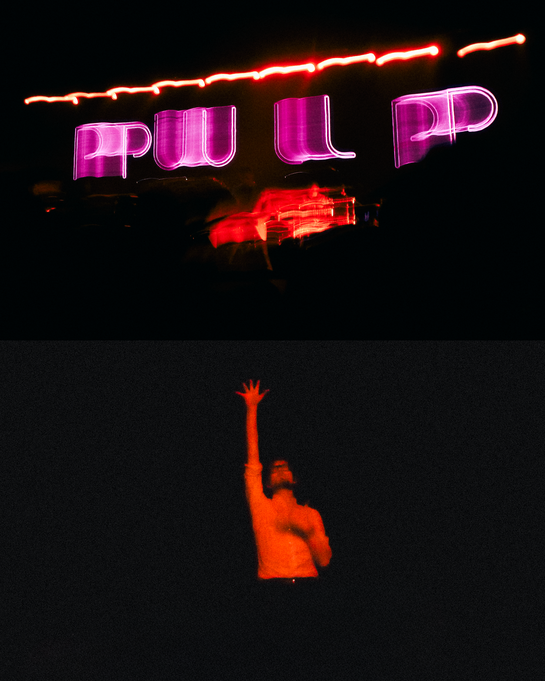 Pulp