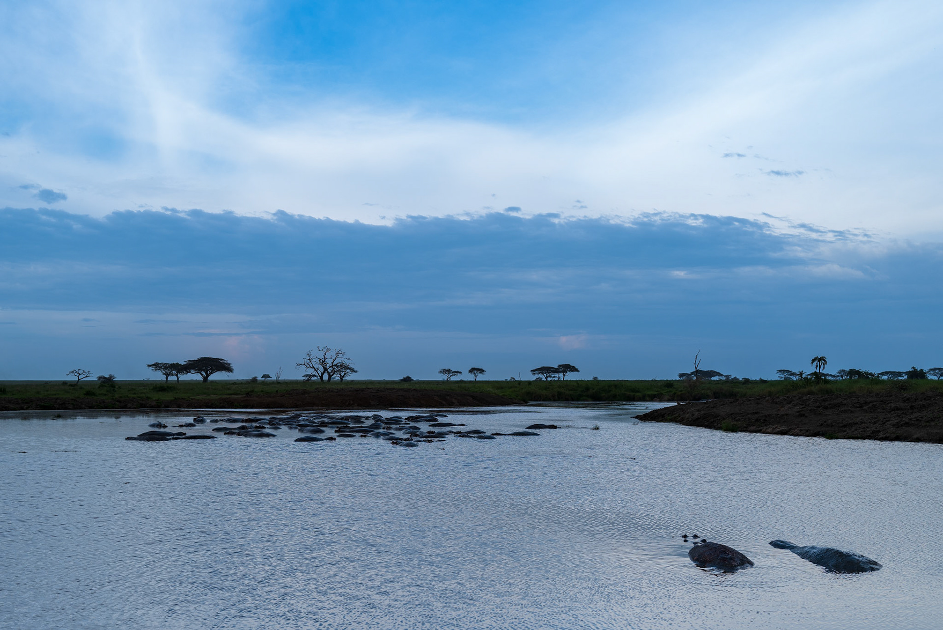 Hippo Pool in Serengeti Twilight