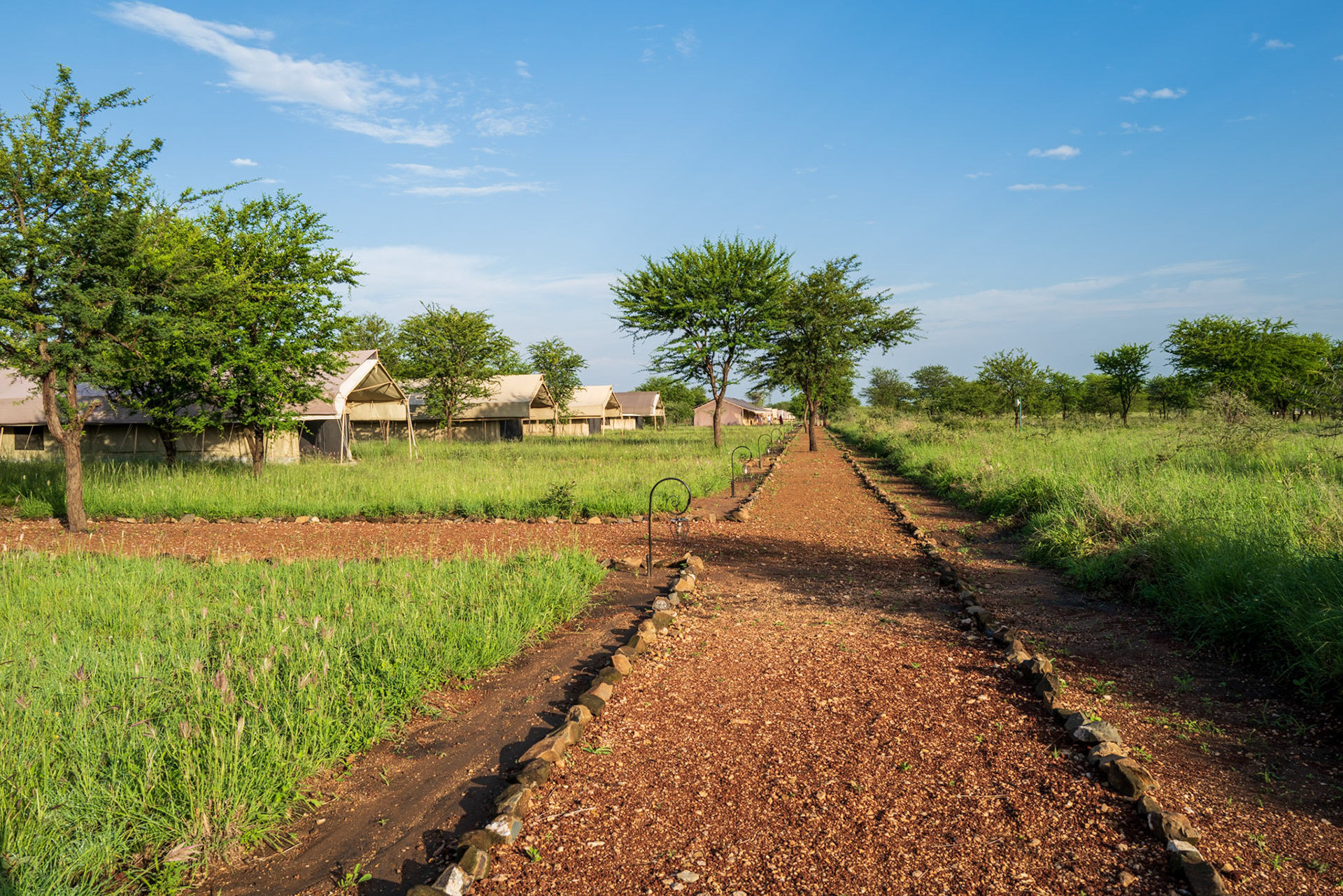 Tortillis Camp Tanzania
