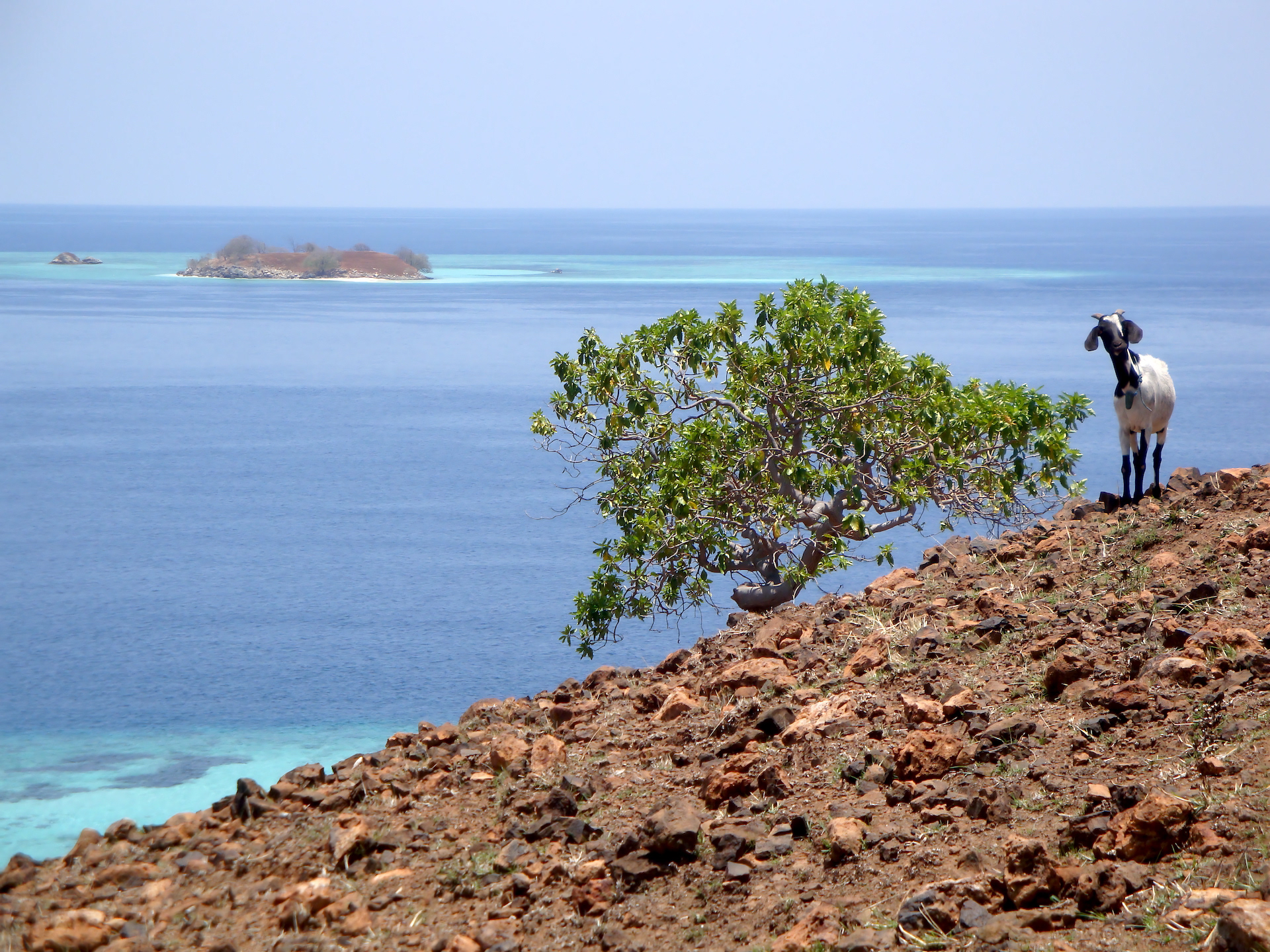 Flores, Nusa Tengarra Timur | Indonesia