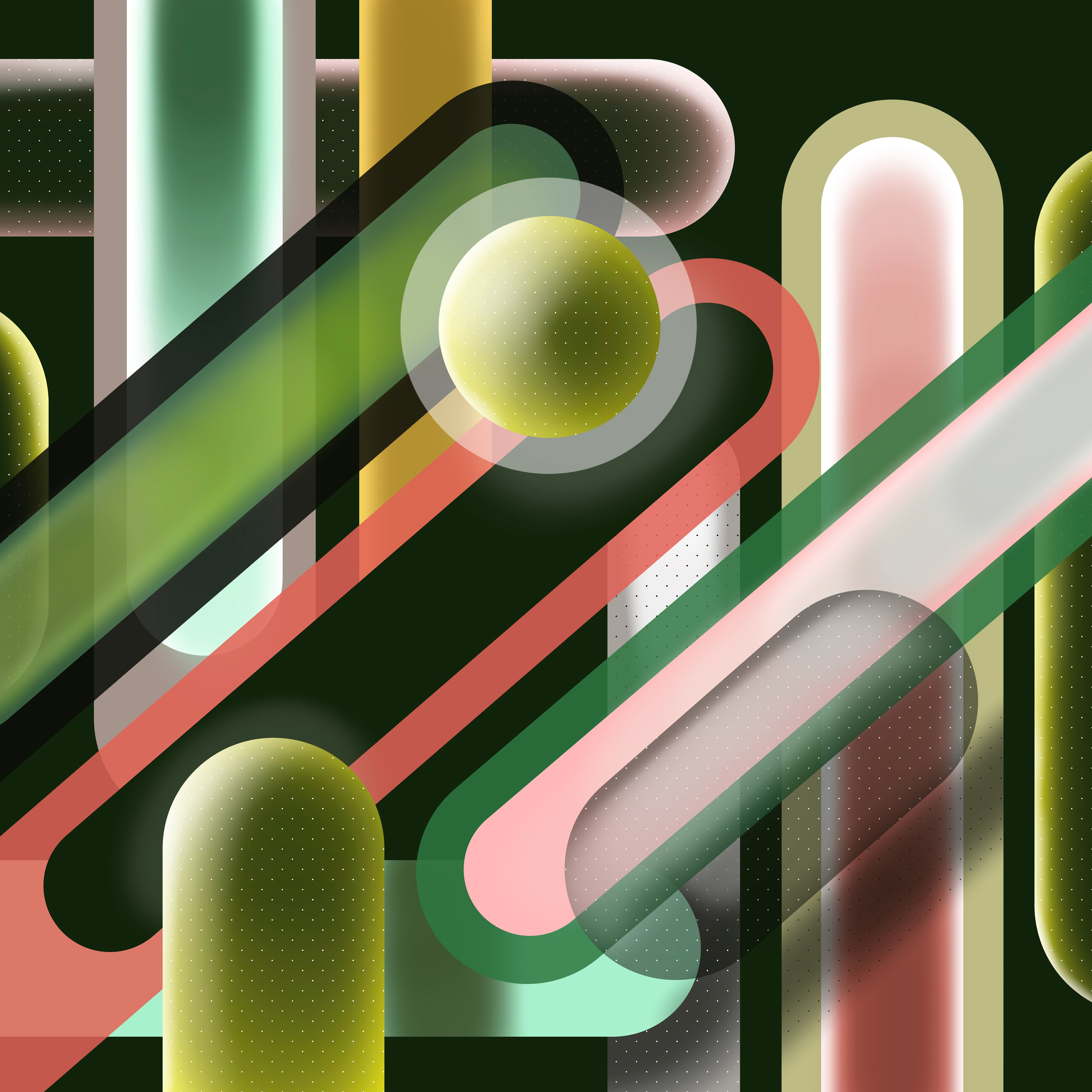 Cacti Junction