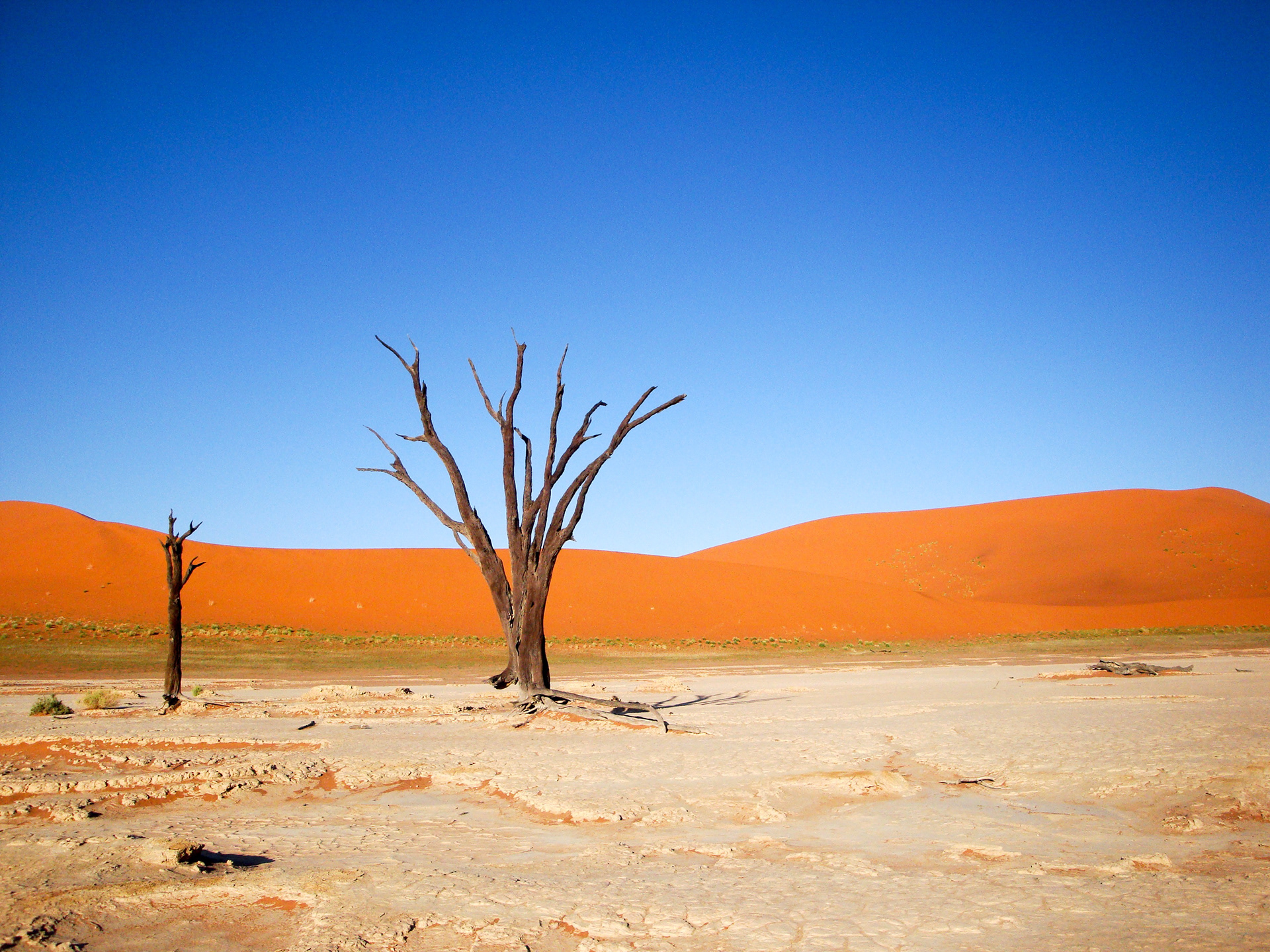 Sossusvlei, Namibia | Africa