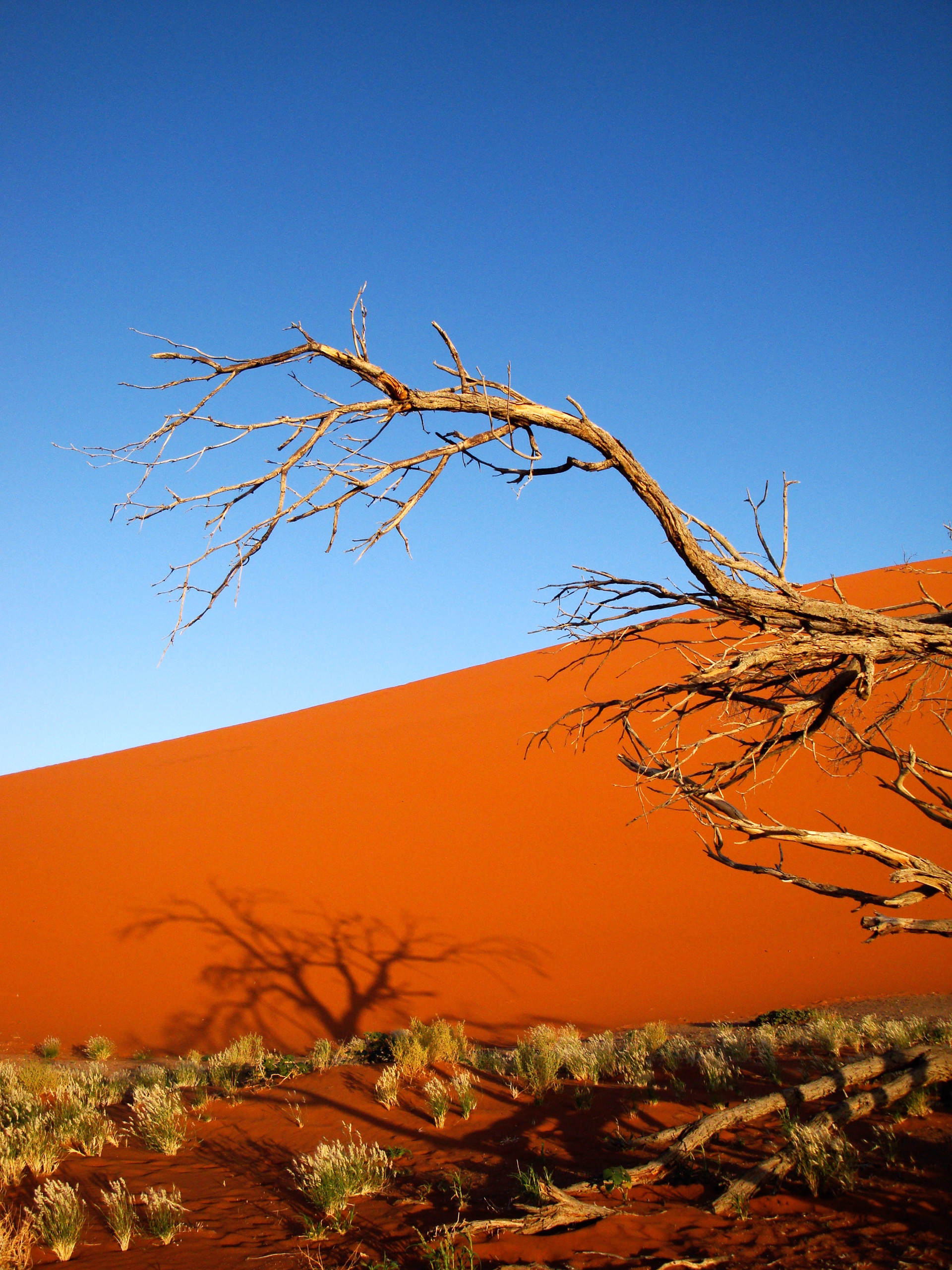 Sossusvlei, Namibia | Africa