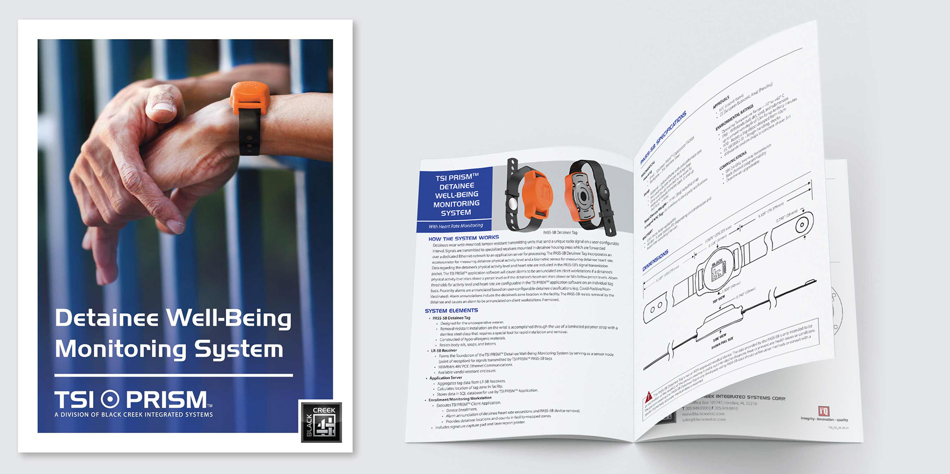 TSI Prism Brochure | Hallie Woodham Graphic Design