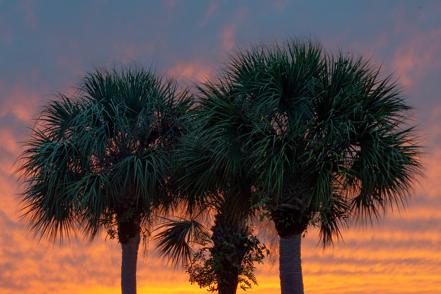 Port Ste-Lucie - 2022