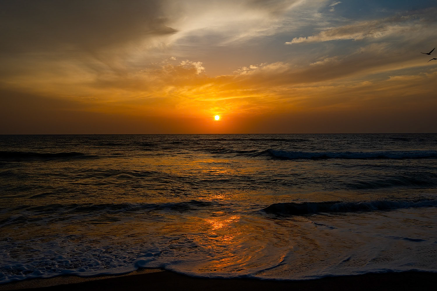 Hutchison Island - 2022