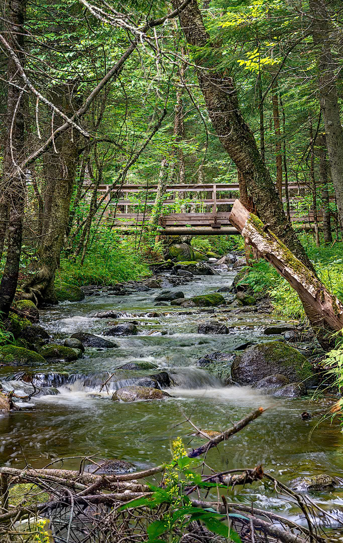 Piopolis, Estrie - 2023