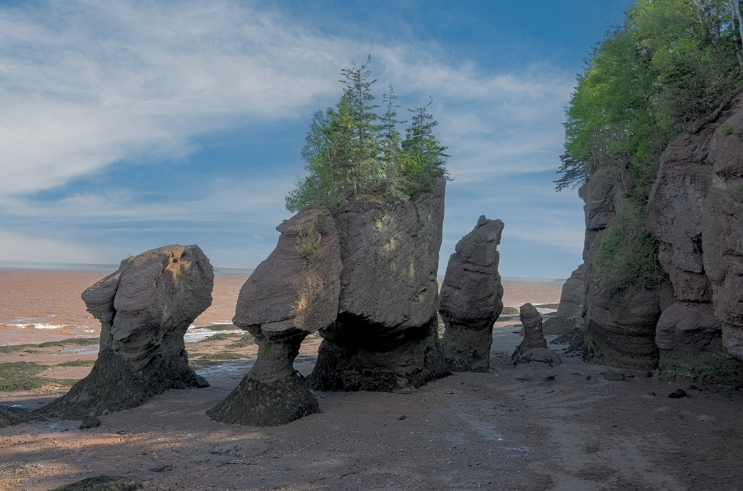 Hopewell Rocks - Marée Basse, Nouveau Brunswick - 2023