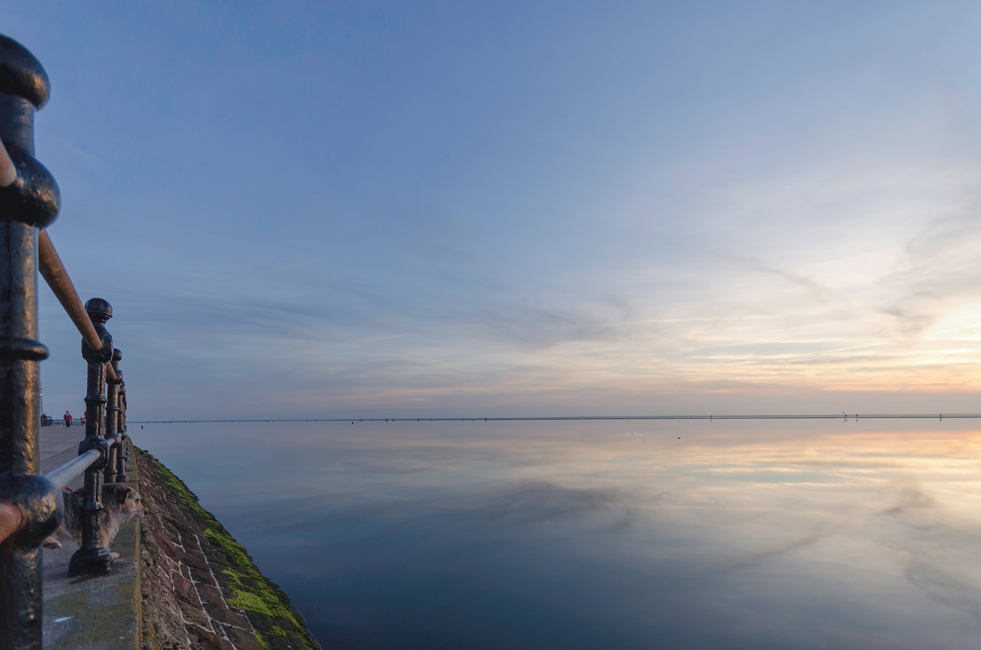 Gazing across the Lake