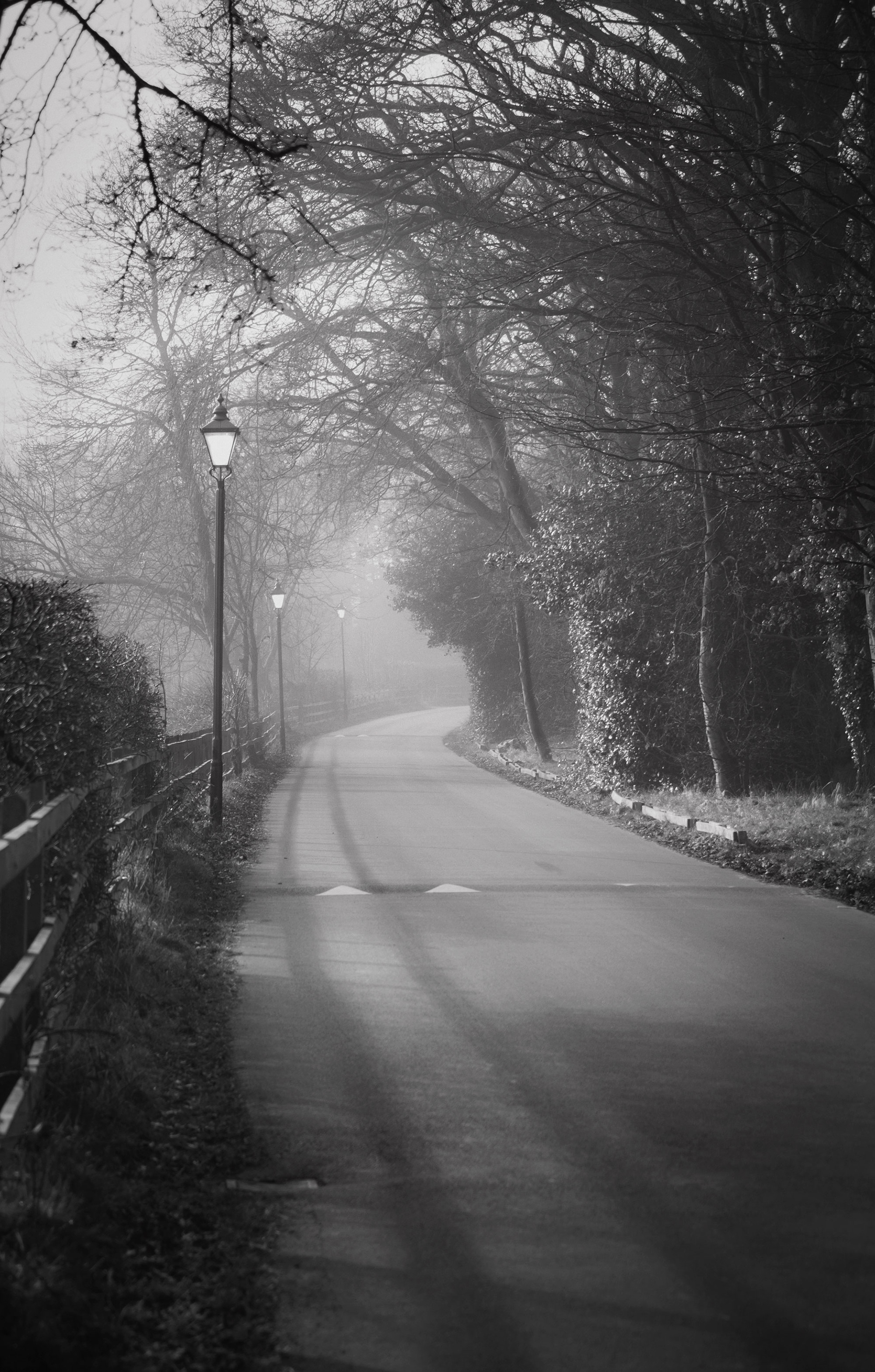 Along the Misty Road to Royden 16x12 Fine Art print £30.00 in a white mount with backboard