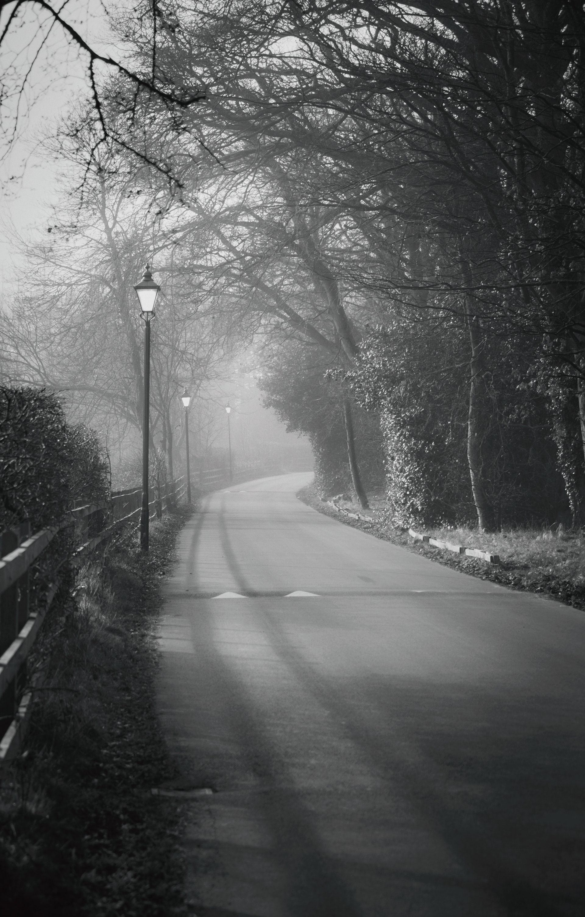 A black and white image of a misty, tree lined lane leading into a misty distance. There are lit lamps lining the lane glowing softly through the mist. The trees lean out over the road giving quite a menacing feeling to them The last of the light casts shadows across the road giving glimpses of what lies between the trees. 