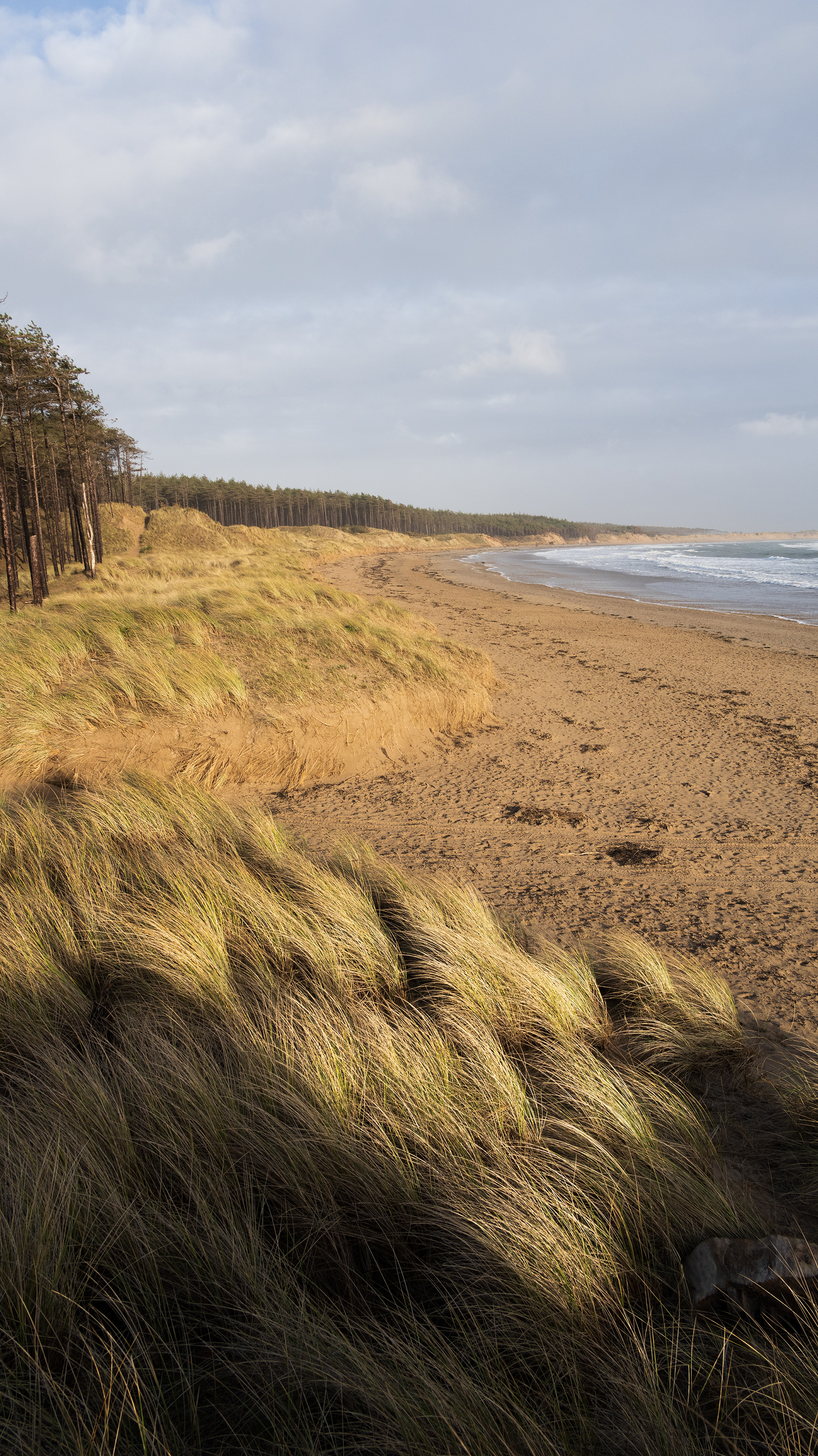 Newborough Beach