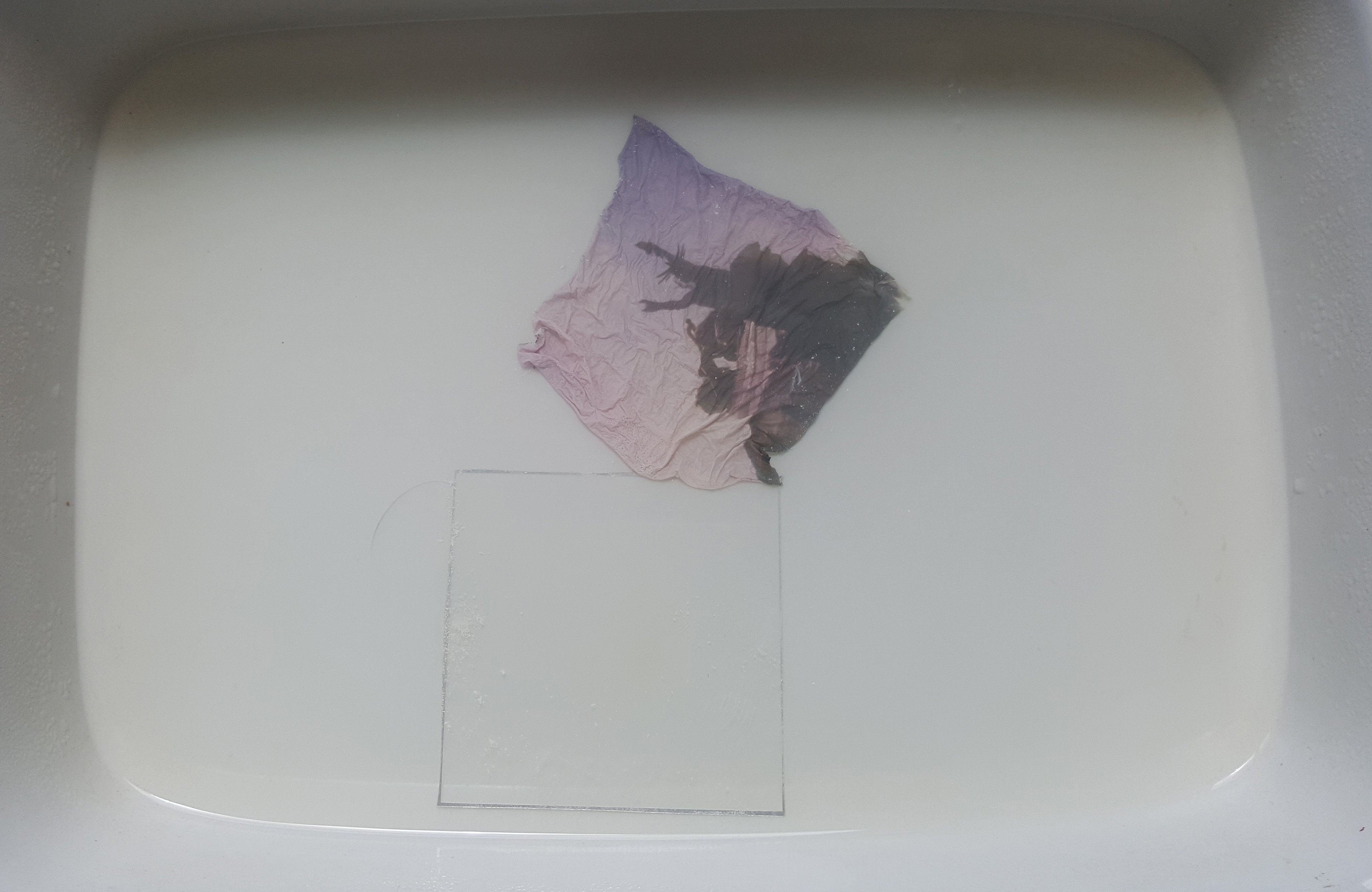 Gently tease the film from the plastic, be careful this thing is fragile.