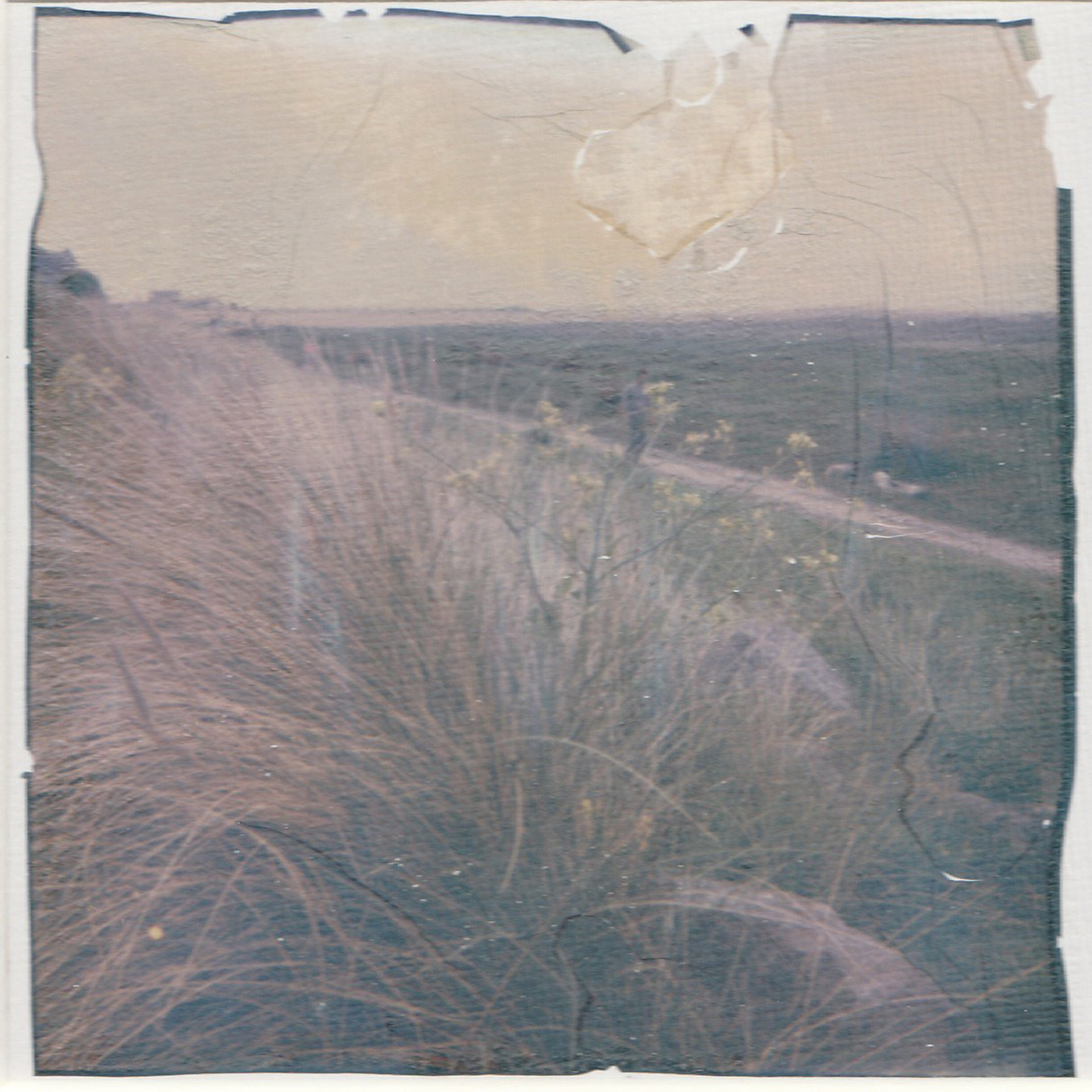 On the Boardwalk Red Rocks    Polaroid Lift onto Watercolour Paper. The rips and tears are unique to each individual piece of work.