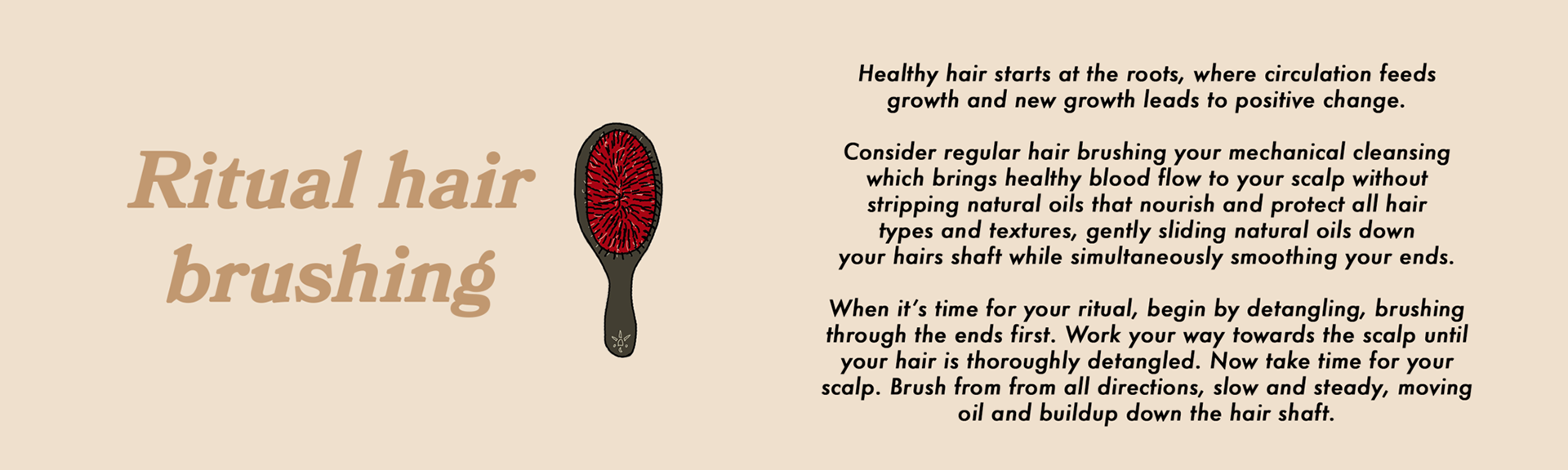 Product Booklet for Goodbye Horsegirl Brush Release