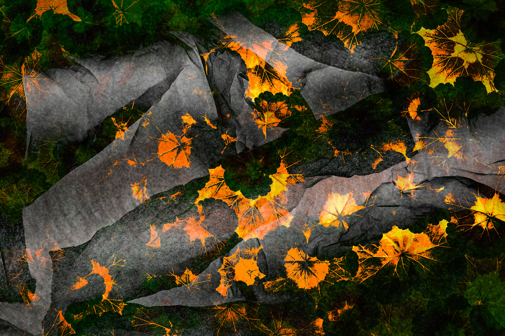 Autumn Leaves