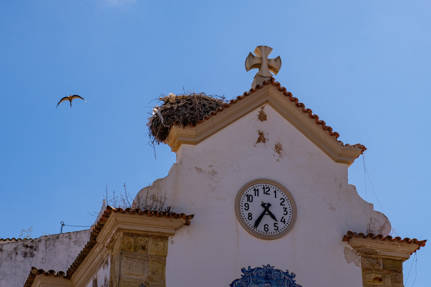 Stork and nest in Olhao