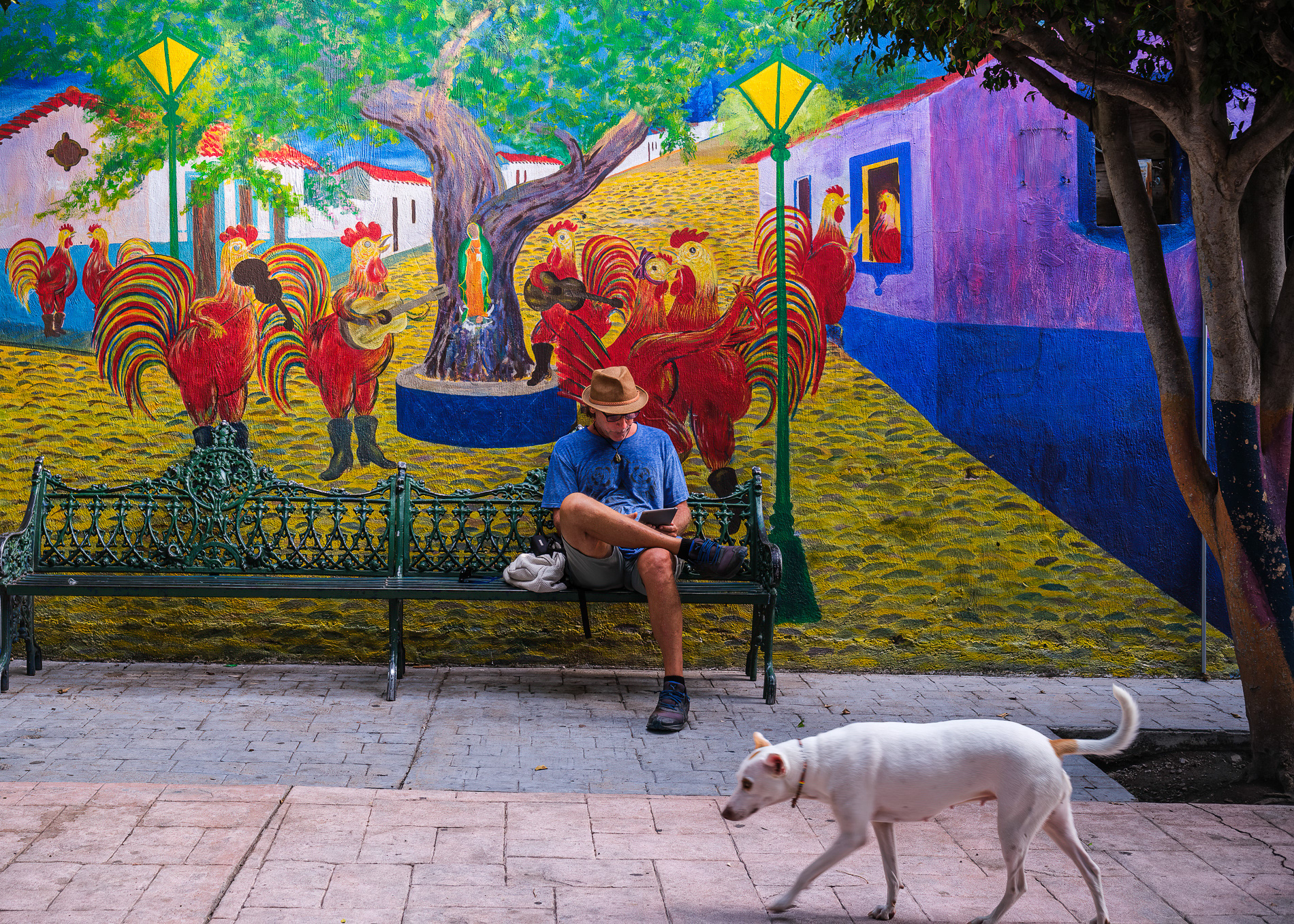 Ajijic