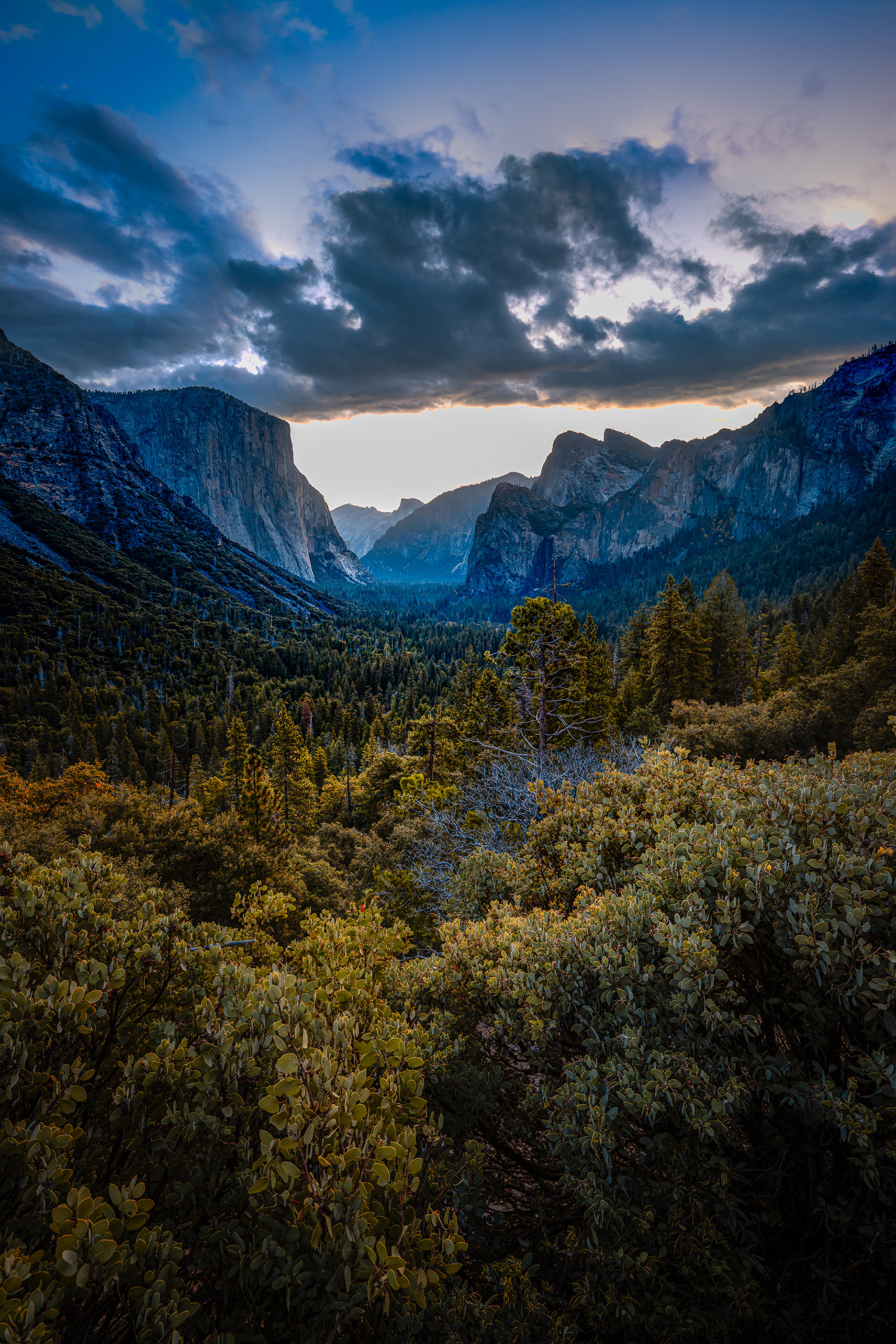 Yosemite, CA