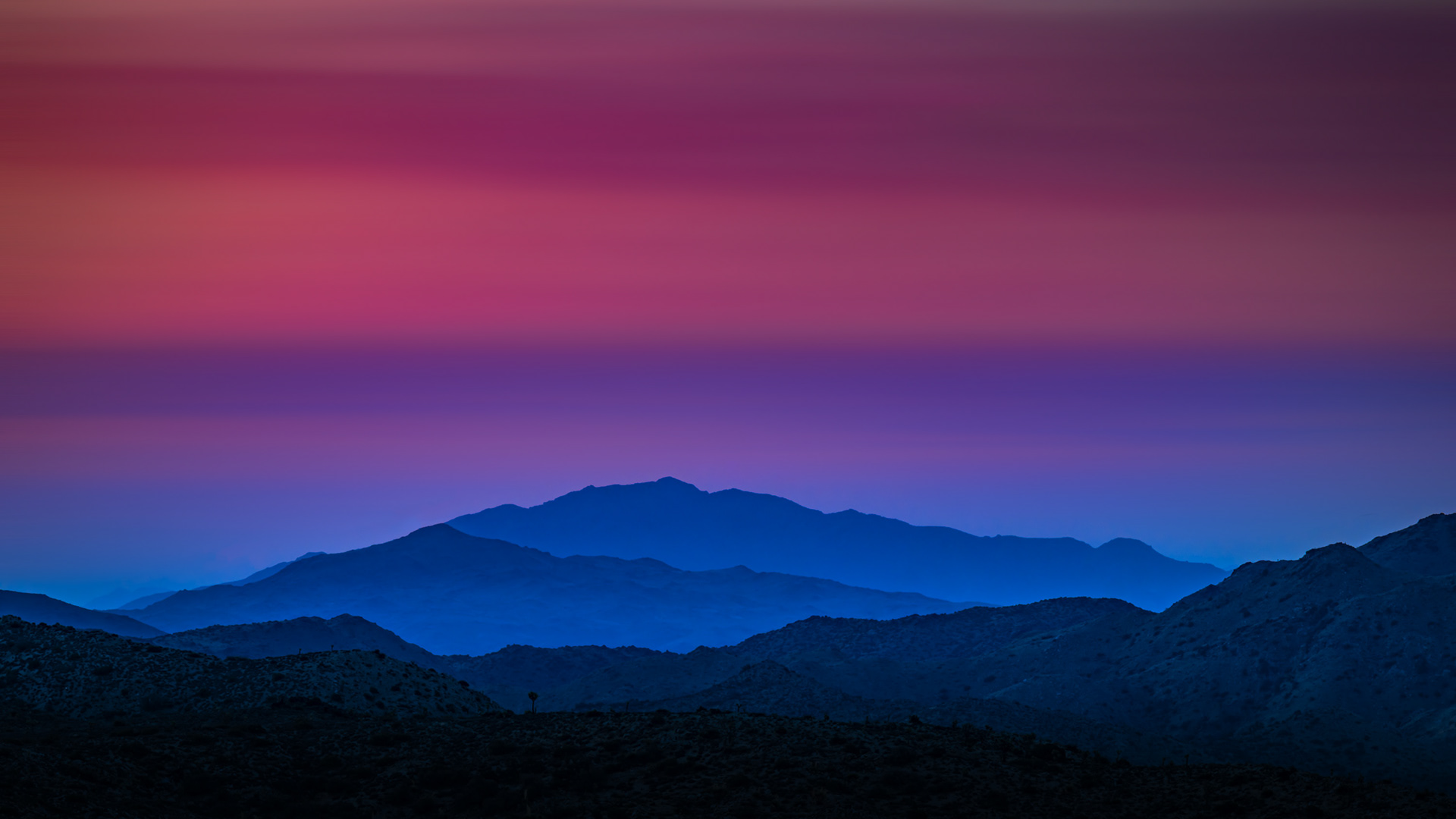 Joshua Tree before Sunrise, CA