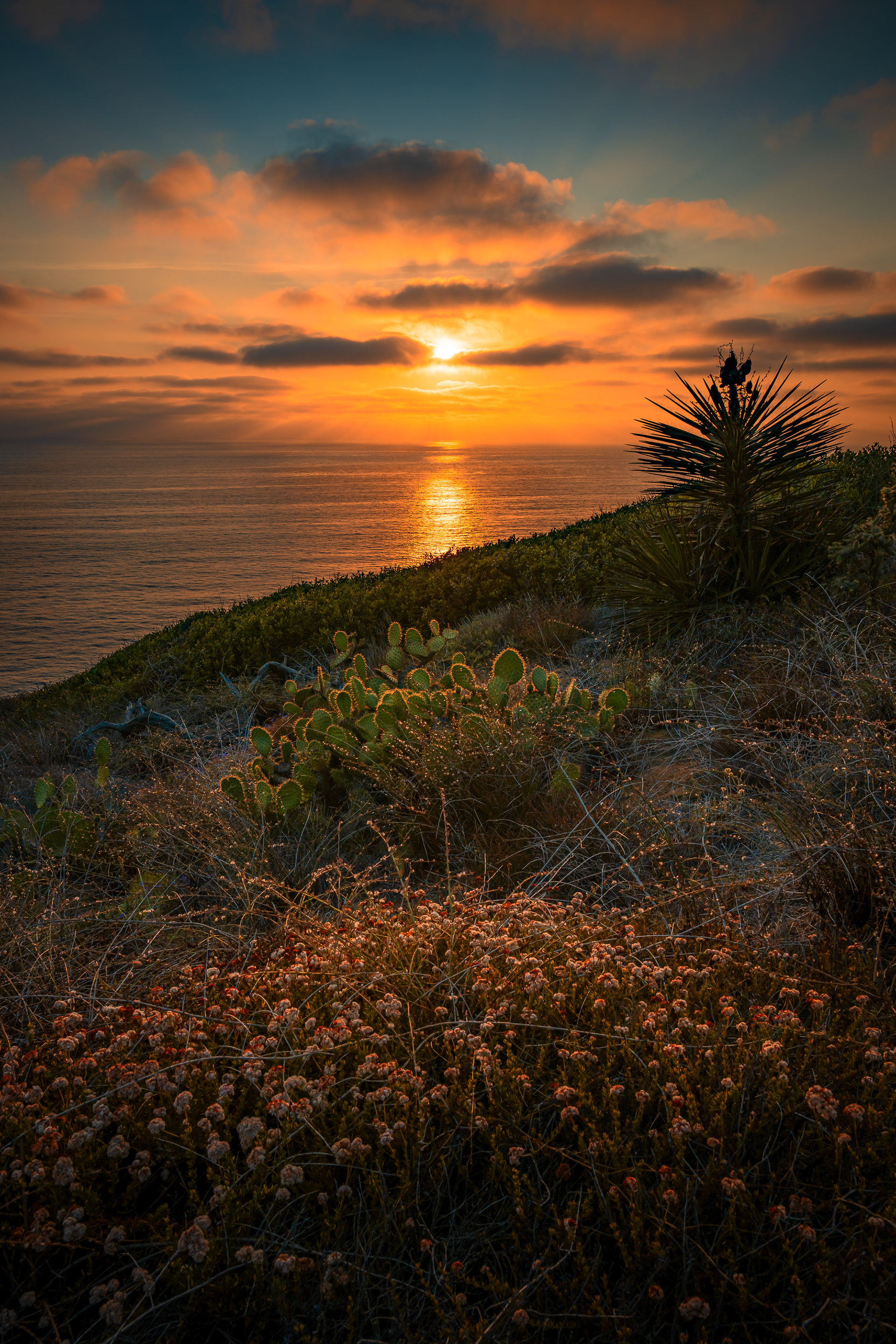 Torrey Pines, San Diego, CA