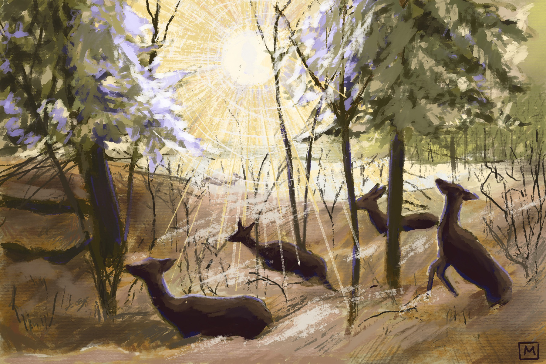 Made on Procreate