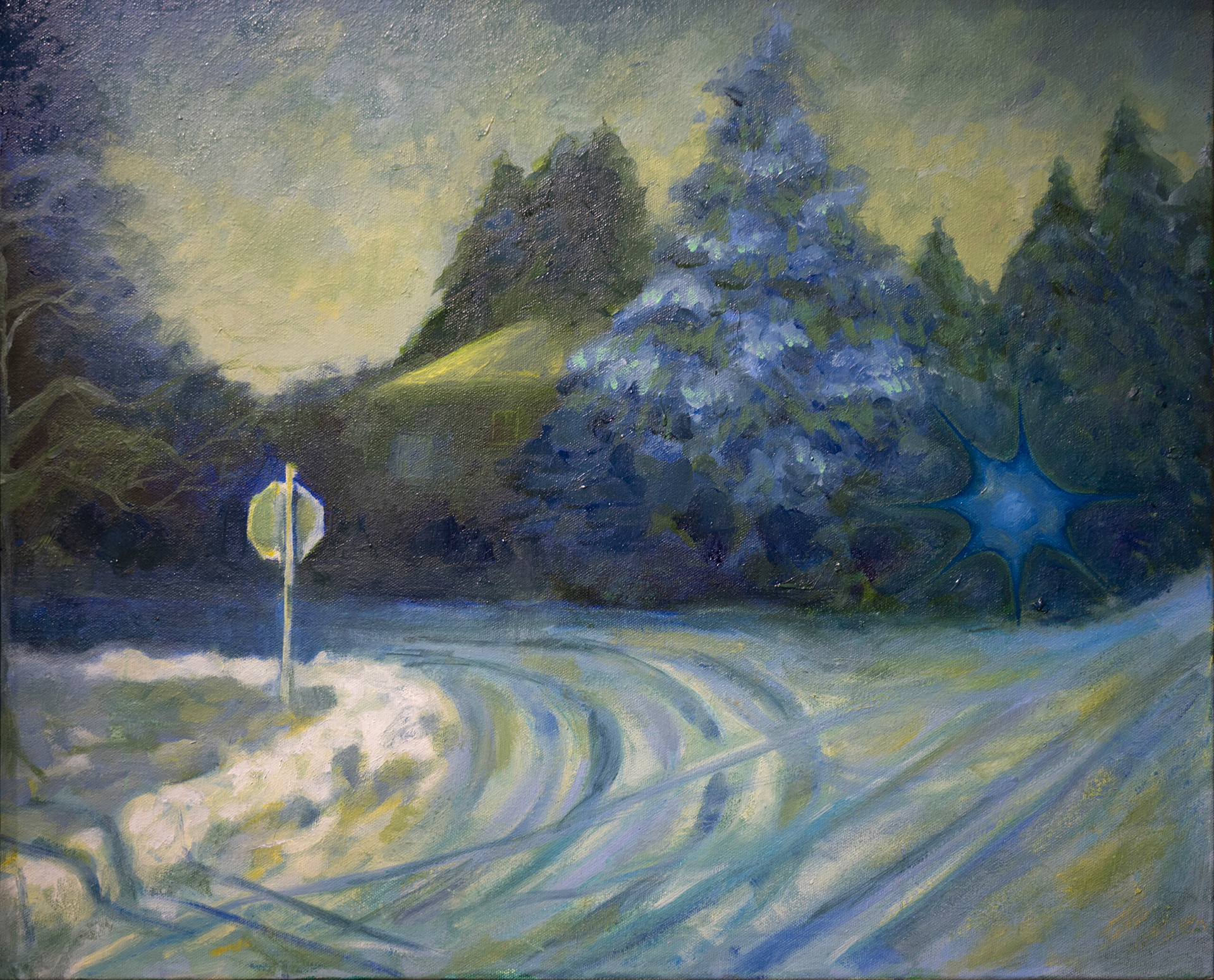Snow Blanket on Faculty Drive